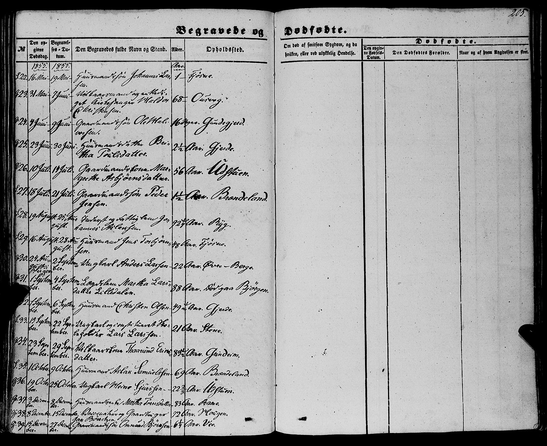 Etne sokneprestembete, AV/SAB-A-75001/H/Haa: Parish register (official) no. A 8, 1848-1862, p. 205