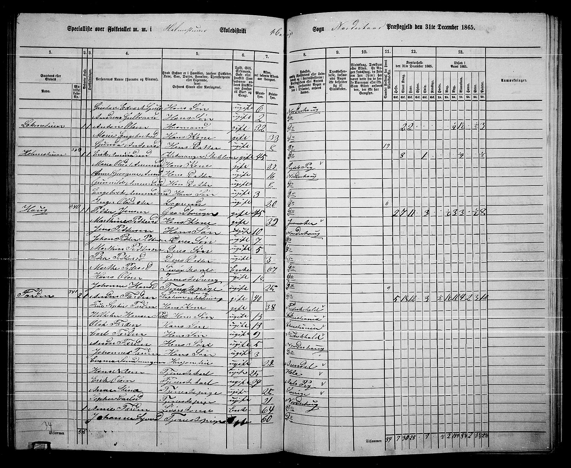 RA, 1865 census for Norderhov/Norderhov, Haug og Lunder, 1865, p. 243