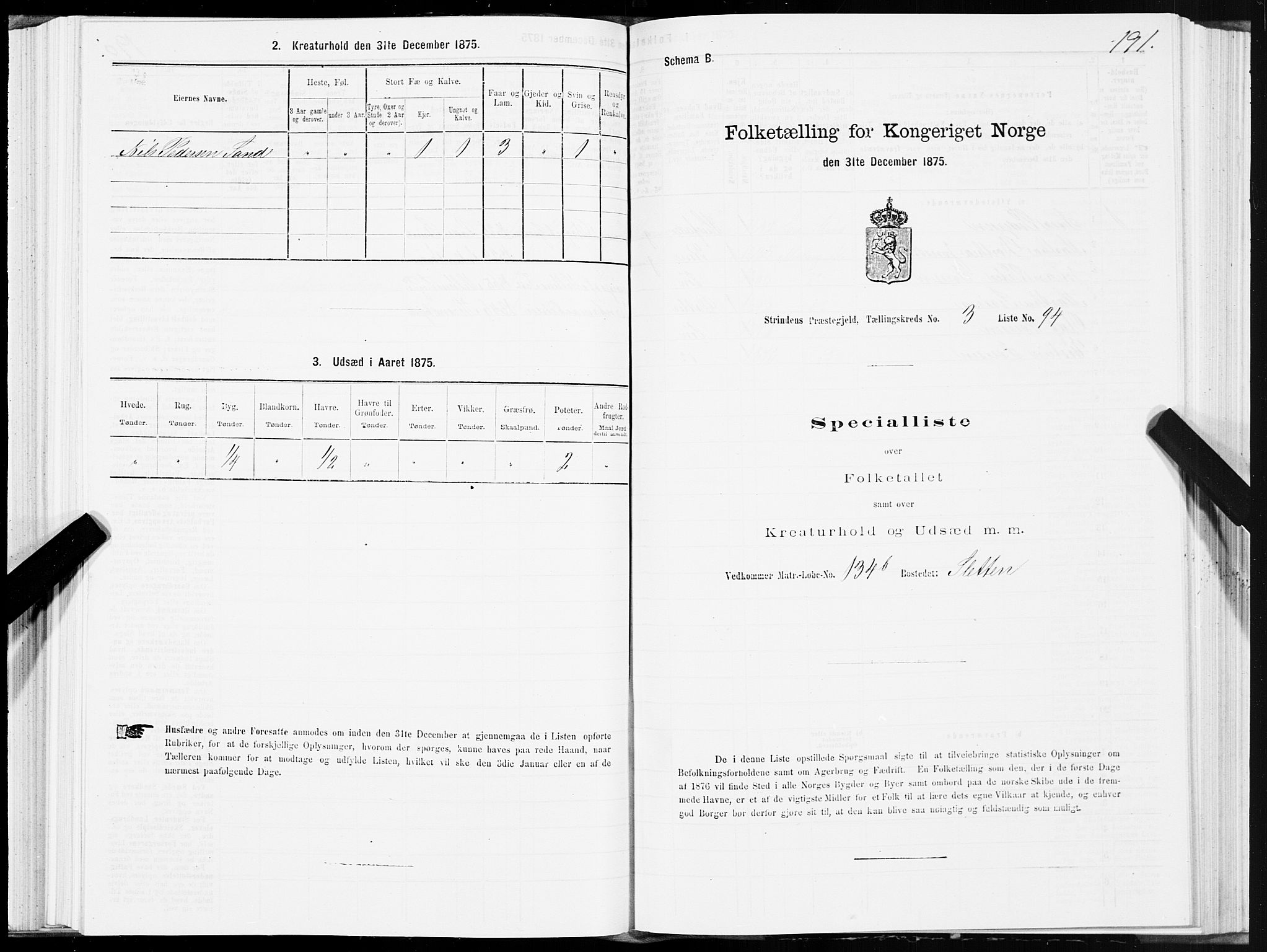 SAT, 1875 census for 1660P Strinda, 1875, p. 2191