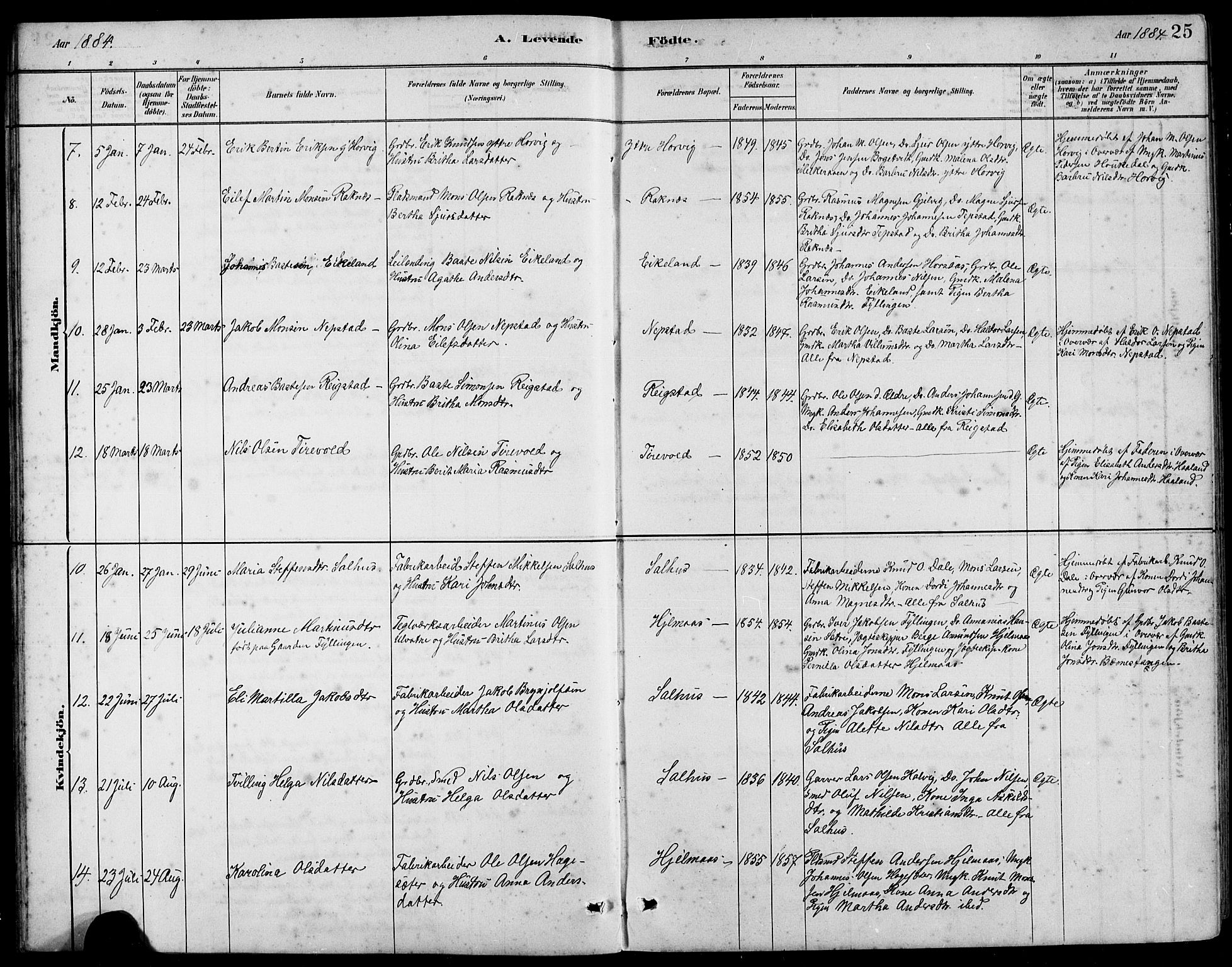 Hamre sokneprestembete, AV/SAB-A-75501/H/Ha/Hab: Parish register (copy) no. B 3, 1881-1898, p. 25