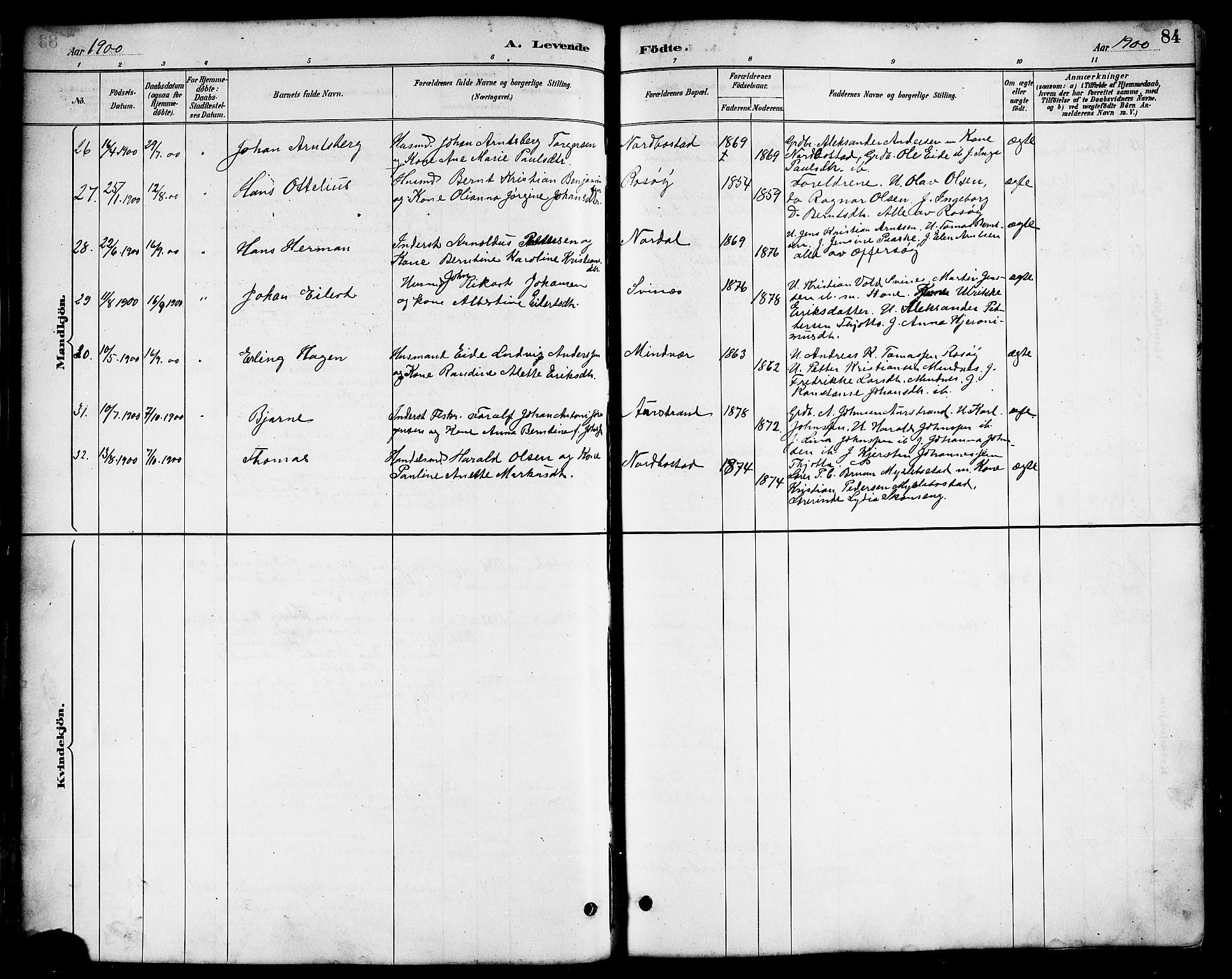 Ministerialprotokoller, klokkerbøker og fødselsregistre - Nordland, AV/SAT-A-1459/817/L0268: Parish register (copy) no. 817C03, 1884-1920, p. 84