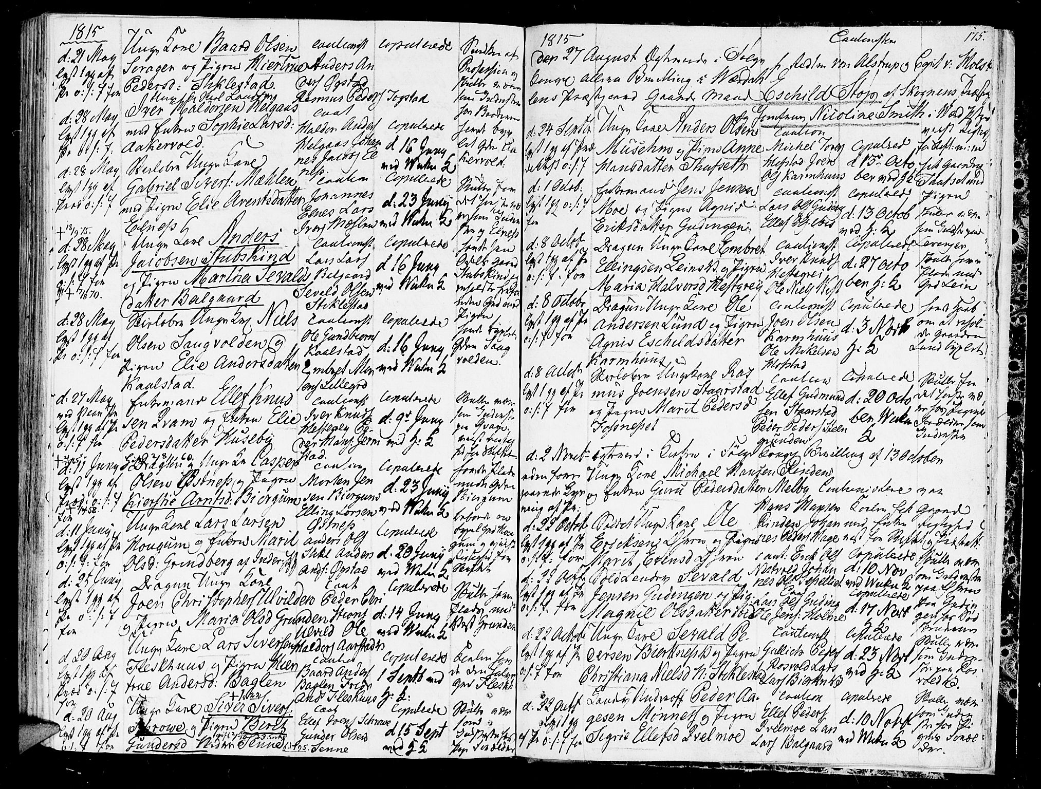 Ministerialprotokoller, klokkerbøker og fødselsregistre - Nord-Trøndelag, AV/SAT-A-1458/723/L0233: Parish register (official) no. 723A04, 1805-1816, p. 175