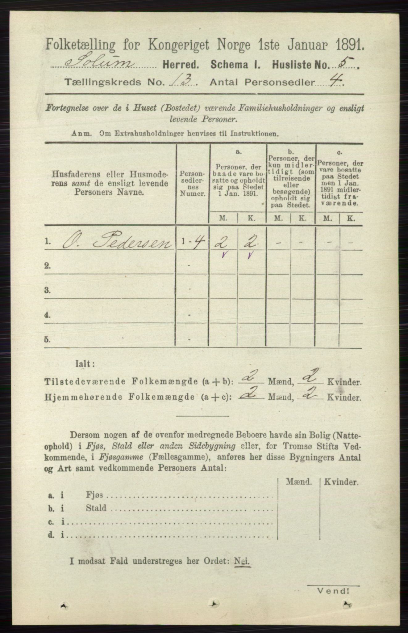 RA, 1891 census for 0818 Solum, 1891, p. 6007