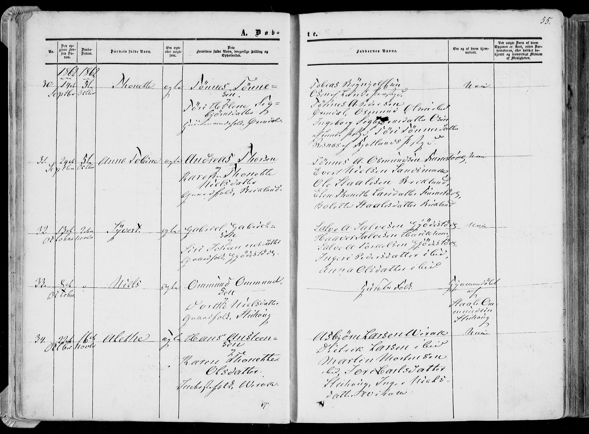 Bakke sokneprestkontor, AV/SAK-1111-0002/F/Fa/Faa/L0006: Parish register (official) no. A 6, 1855-1877, p. 55