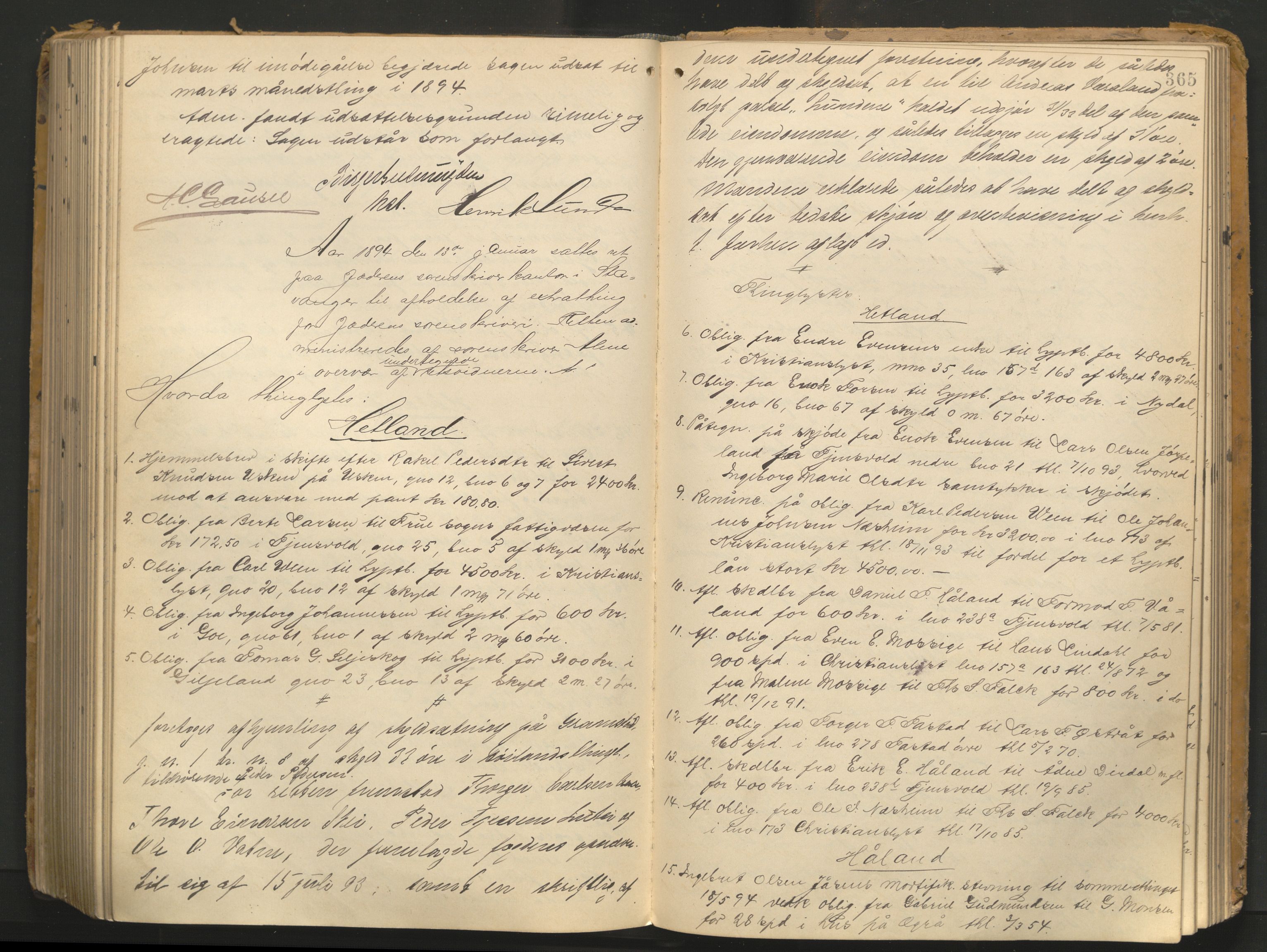 Jæren sorenskriveri, AV/SAST-A-100310/01/3/30/30BA/L0006: TINGBOK 12, 1891-1894, p. 364b-365a