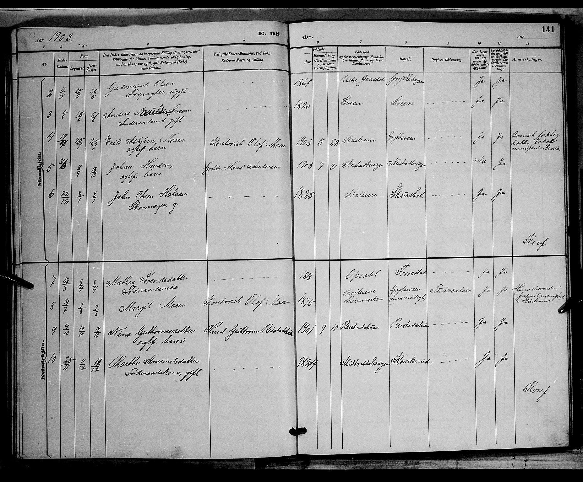 Østre Gausdal prestekontor, AV/SAH-PREST-092/H/Ha/Hab/L0002: Parish register (copy) no. 2, 1894-1904, p. 141