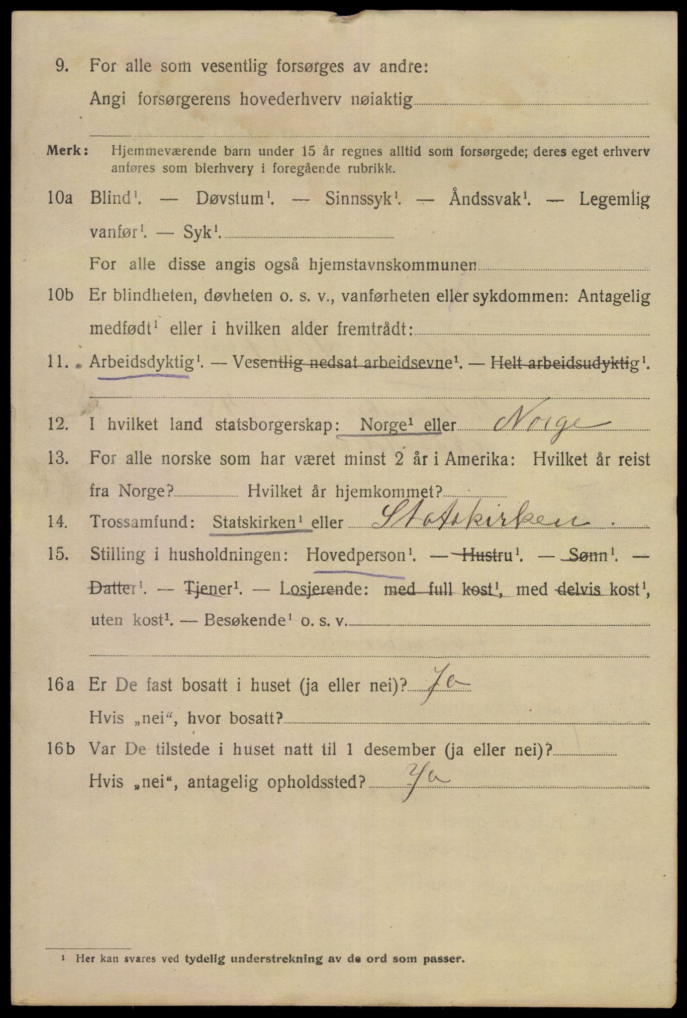 SAKO, 1920 census for Notodden, 1920, p. 9817