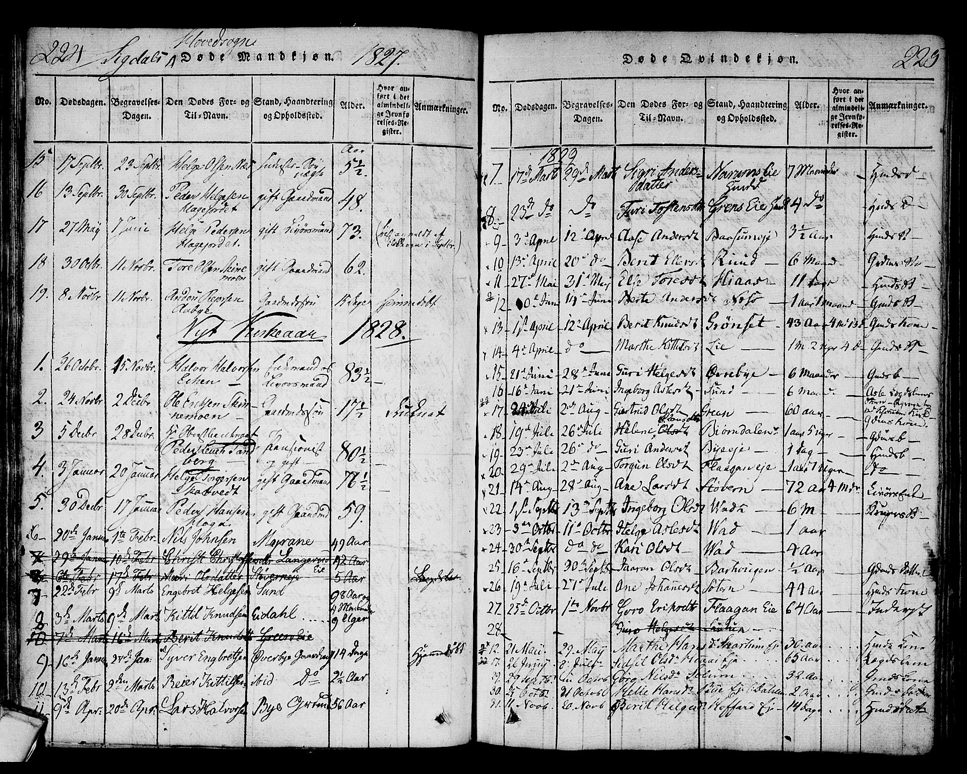 Sigdal kirkebøker, SAKO/A-245/F/Fa/L0005: Parish register (official) no. I 5 /1, 1815-1829, p. 224-225
