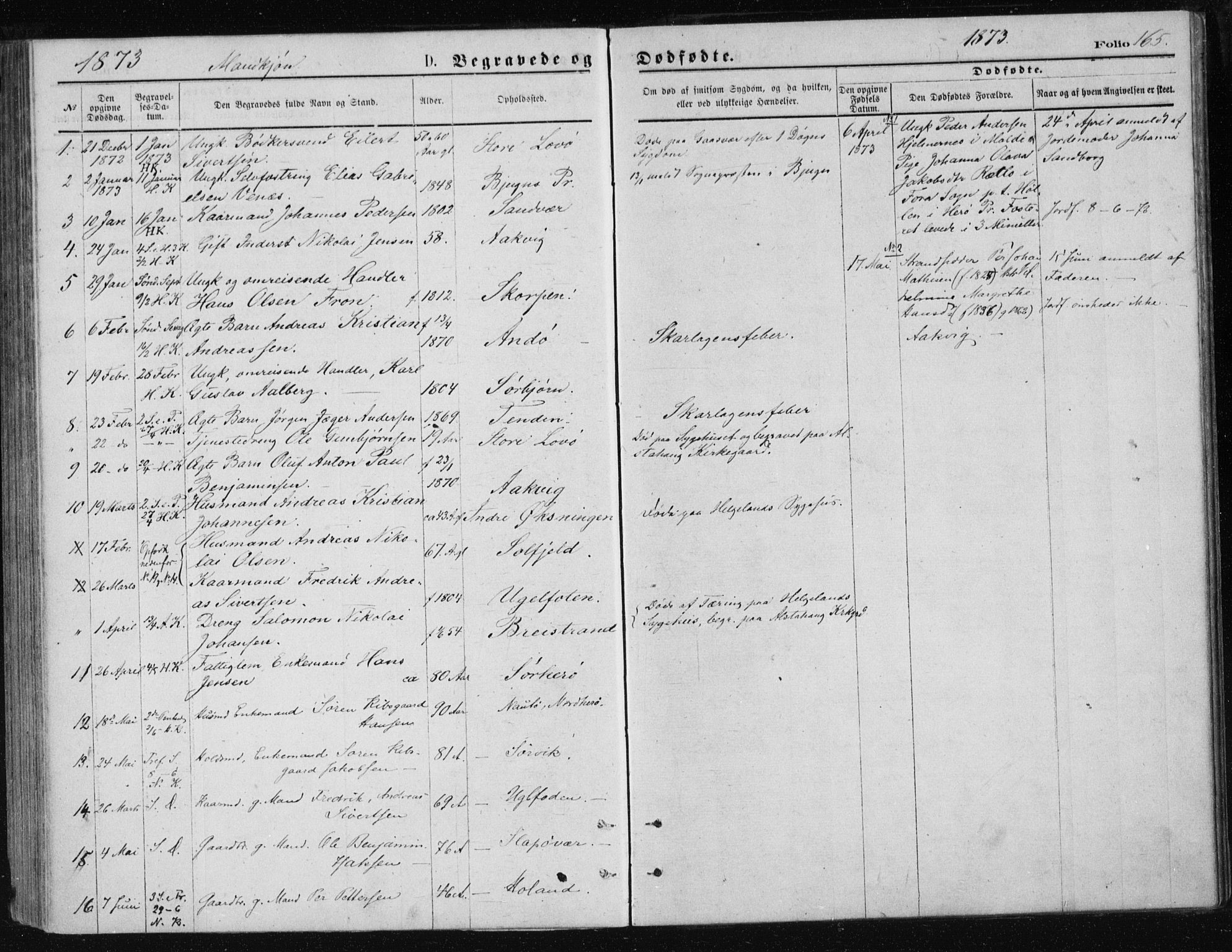 Ministerialprotokoller, klokkerbøker og fødselsregistre - Nordland, SAT/A-1459/834/L0506: Parish register (official) no. 834A04, 1872-1878, p. 165