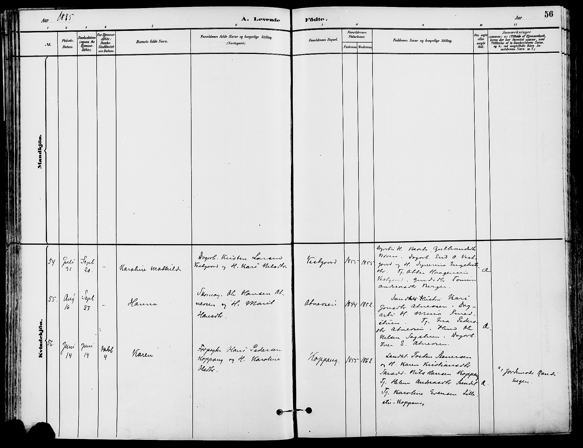 Stor-Elvdal prestekontor, AV/SAH-PREST-052/H/Ha/Haa/L0002: Parish register (official) no. 2, 1882-1907, p. 56