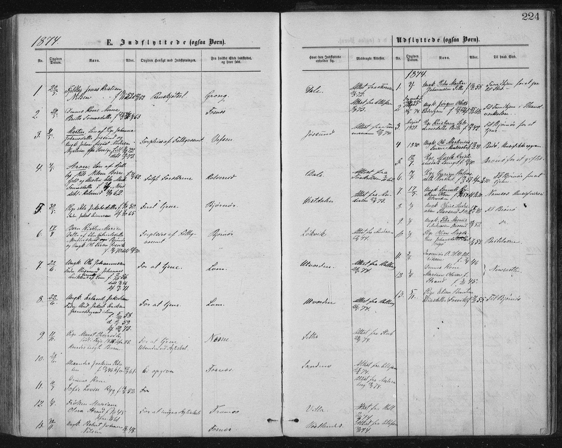Ministerialprotokoller, klokkerbøker og fødselsregistre - Nord-Trøndelag, SAT/A-1458/771/L0596: Parish register (official) no. 771A03, 1870-1884, p. 224