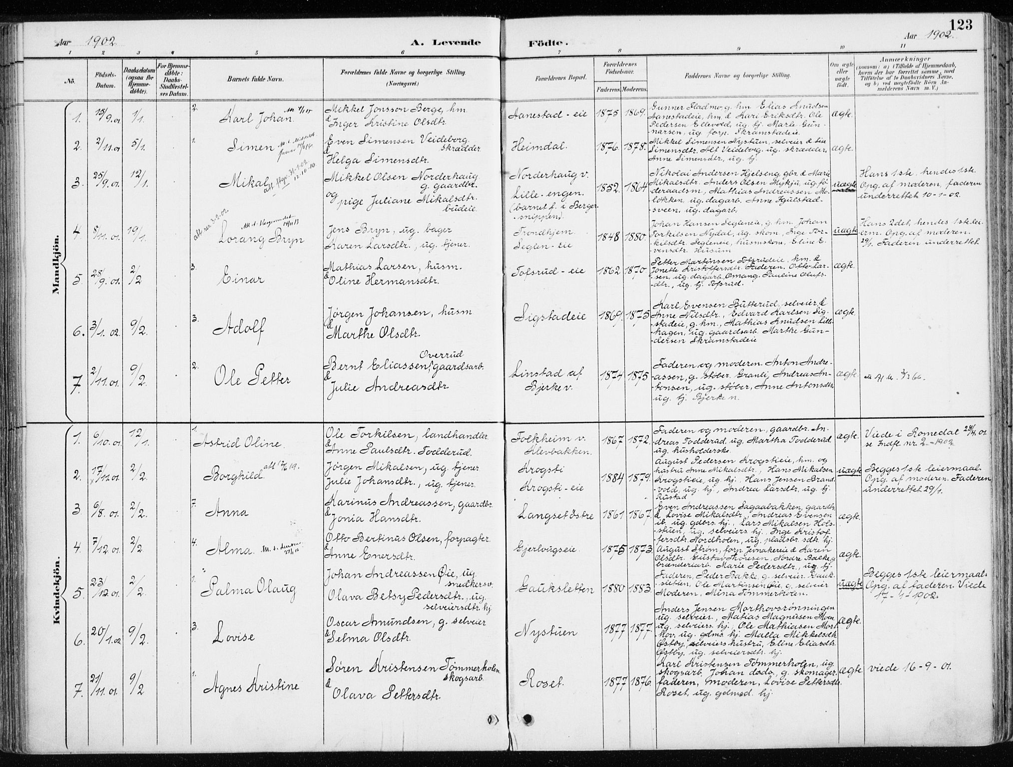 Løten prestekontor, AV/SAH-PREST-022/K/Ka/L0010: Parish register (official) no. 10, 1892-1907, p. 123