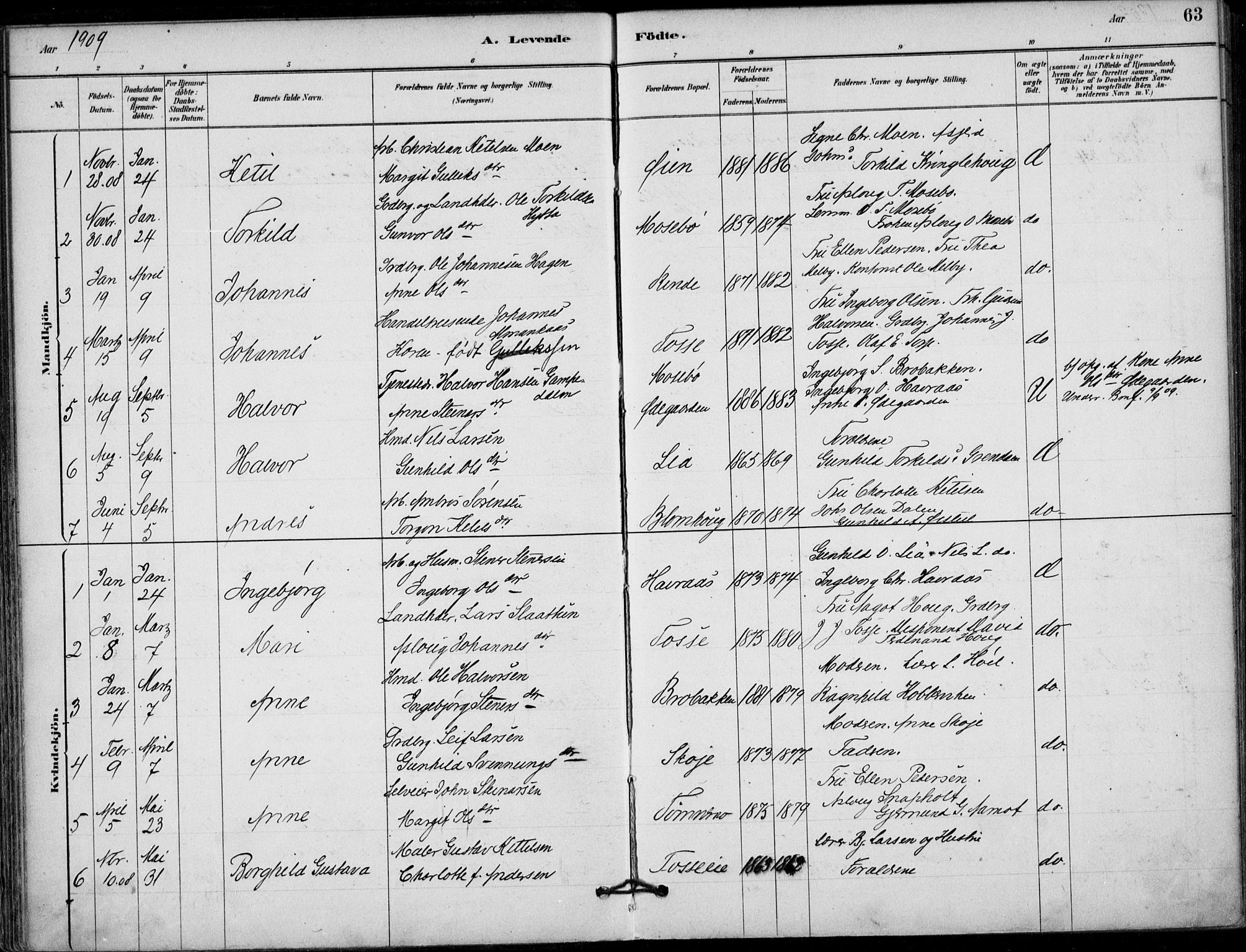 Hjartdal kirkebøker, SAKO/A-270/F/Fb/L0002: Parish register (official) no. II 2, 1880-1932, p. 63