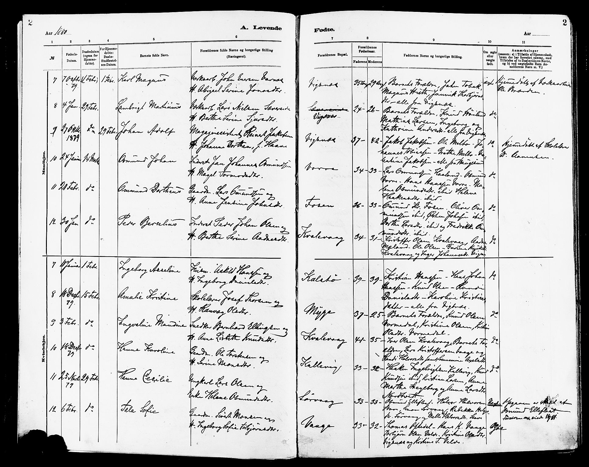 Avaldsnes sokneprestkontor, SAST/A -101851/H/Ha/Haa/L0014: Parish register (official) no. A 14, 1880-1889, p. 2