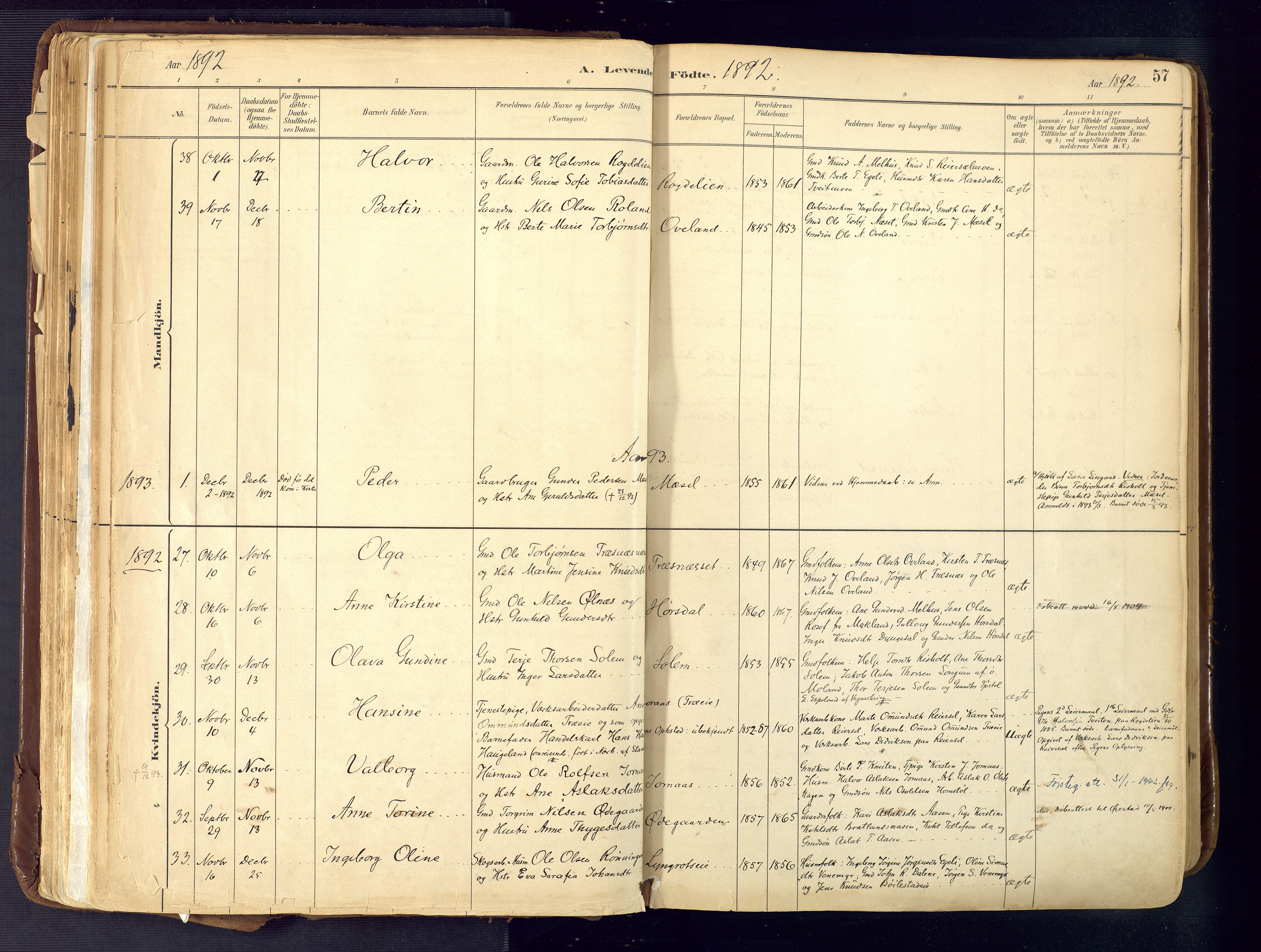 Froland sokneprestkontor, SAK/1111-0013/F/Fa/L0005: Parish register (official) no. A 5, 1882-1921, p. 57
