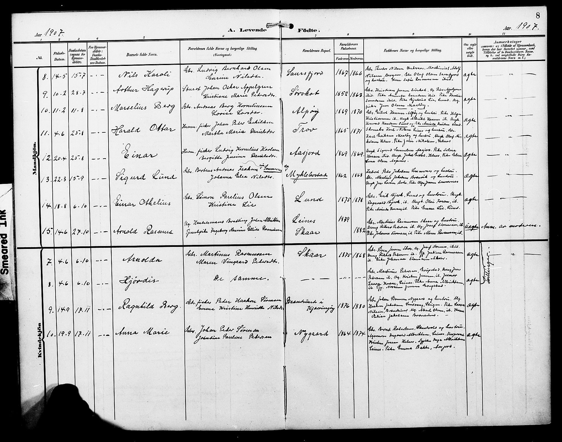 Ministerialprotokoller, klokkerbøker og fødselsregistre - Nordland, SAT/A-1459/857/L0829: Parish register (copy) no. 857C04, 1906-1916, p. 8