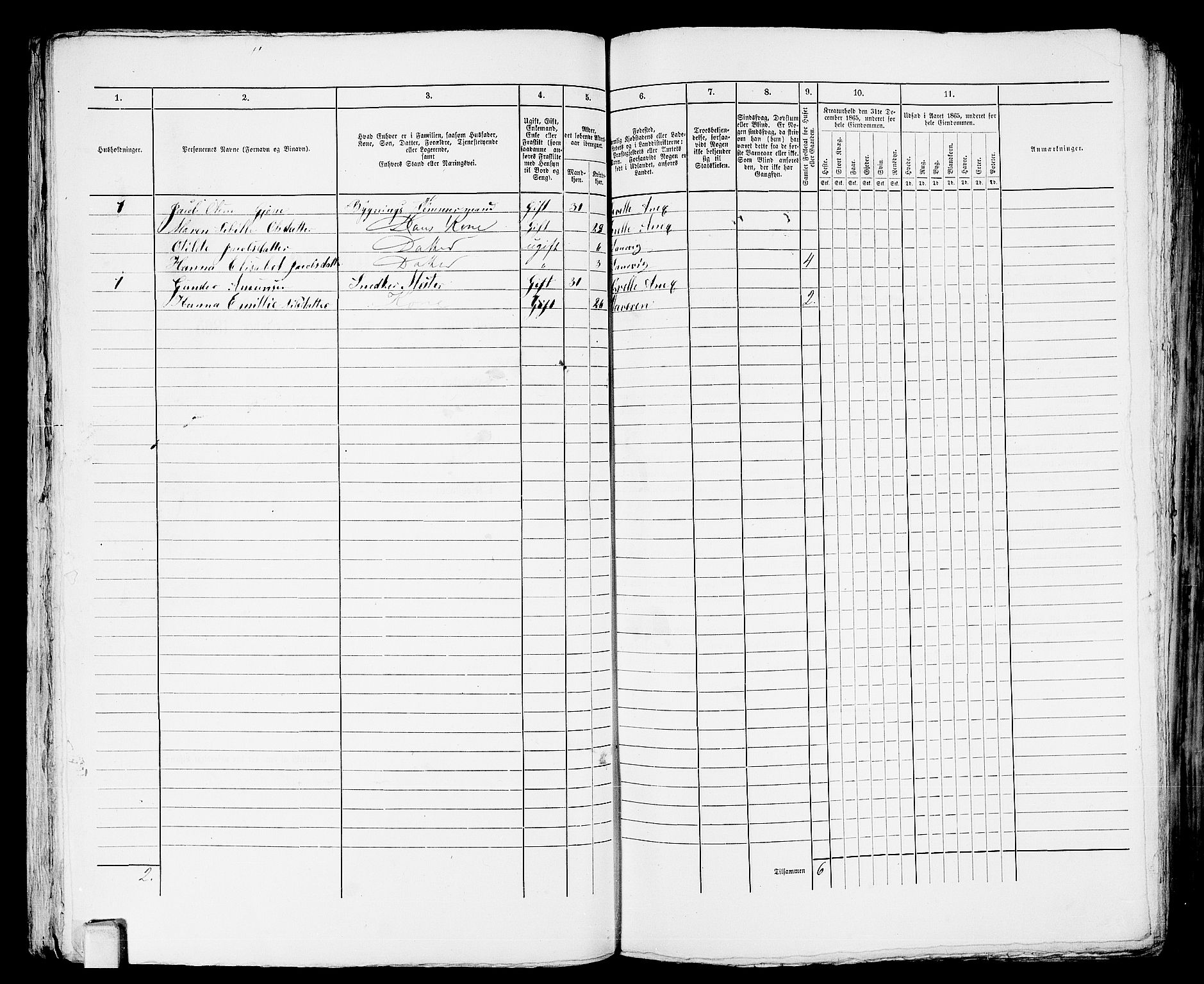 RA, 1865 census for Larvik, 1865, p. 742