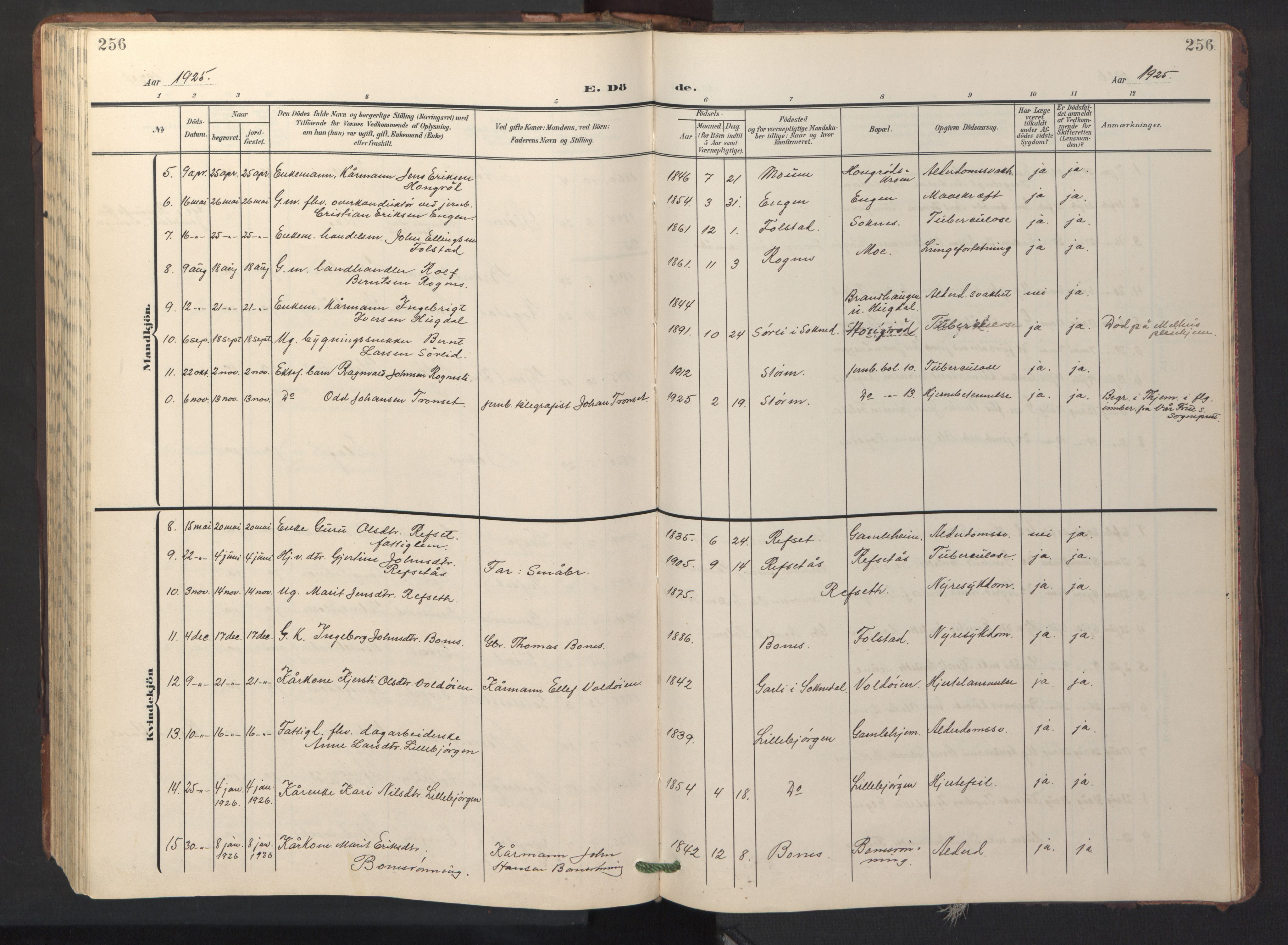 Ministerialprotokoller, klokkerbøker og fødselsregistre - Sør-Trøndelag, SAT/A-1456/687/L1019: Parish register (copy) no. 687C03, 1904-1931, p. 256
