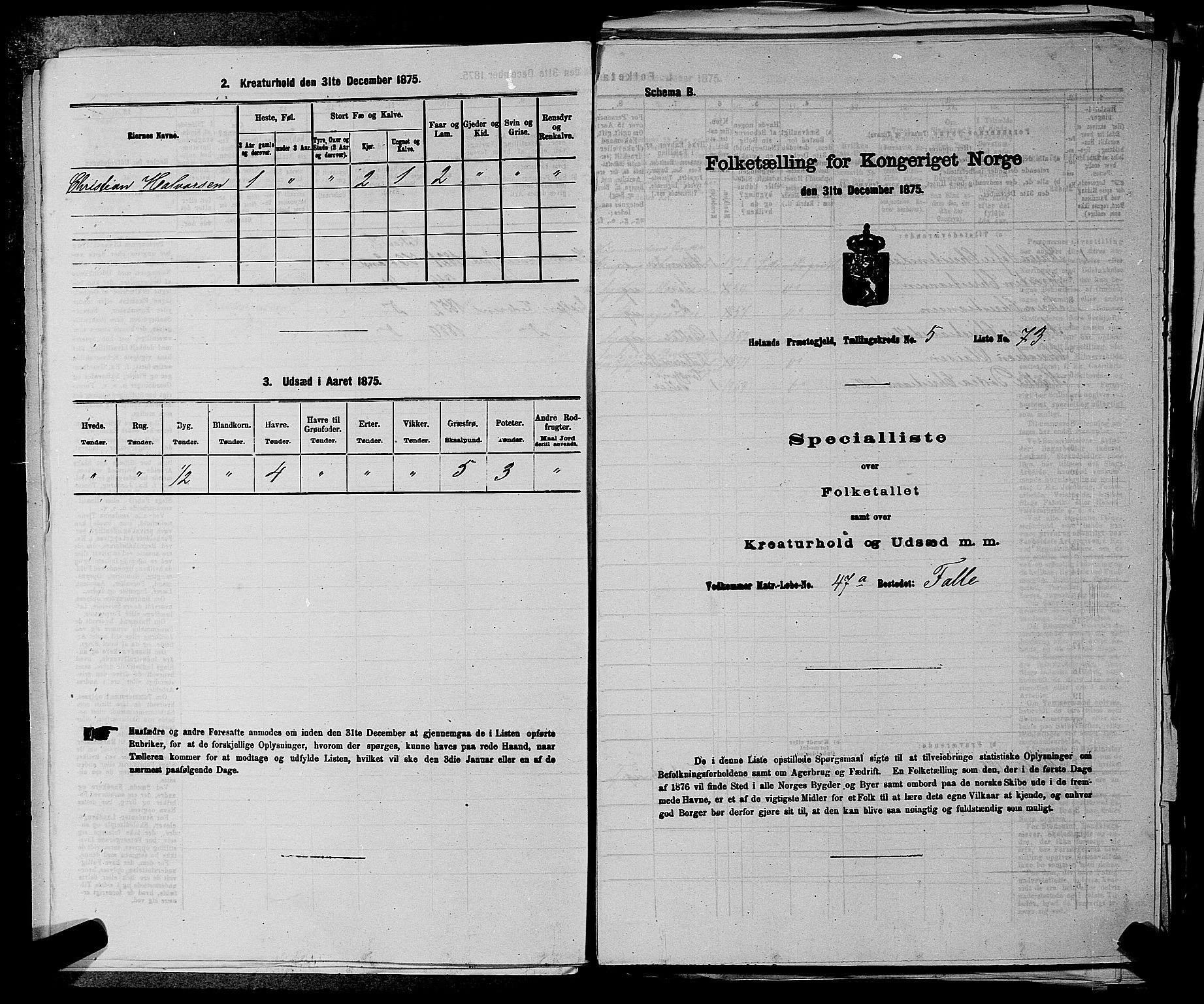 RA, 1875 census for 0221P Høland, 1875, p. 794