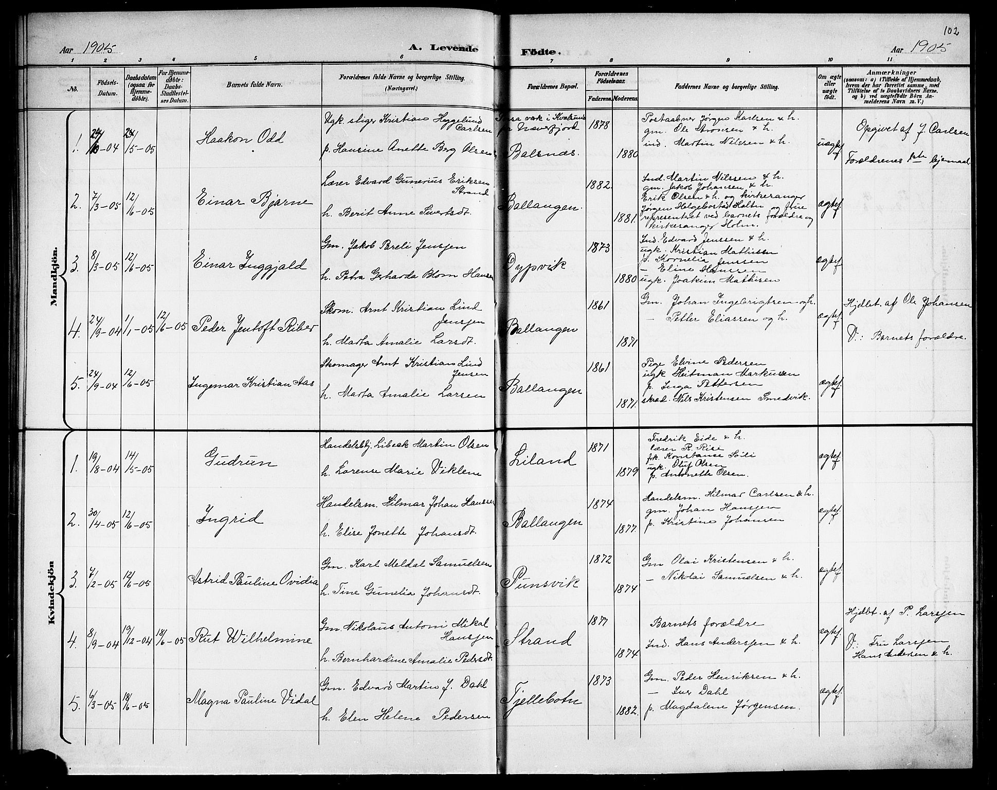 Ministerialprotokoller, klokkerbøker og fødselsregistre - Nordland, AV/SAT-A-1459/863/L0915: Parish register (copy) no. 863C05, 1898-1907, p. 102