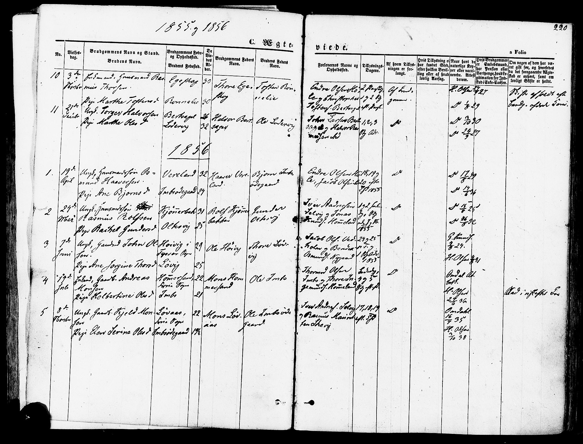Høgsfjord sokneprestkontor, SAST/A-101624/H/Ha/Haa/L0002: Parish register (official) no. A 2, 1855-1885, p. 220