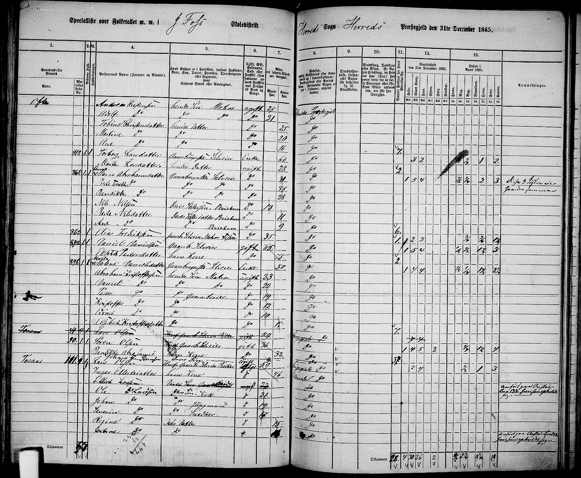 RA, 1865 census for Herad, 1865, p. 29