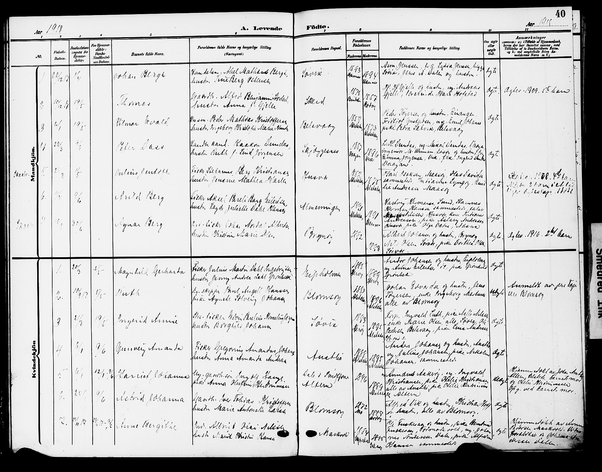 Ministerialprotokoller, klokkerbøker og fødselsregistre - Nordland, AV/SAT-A-1459/830/L0464: Parish register (copy) no. 830C06, 1906-1925, p. 40