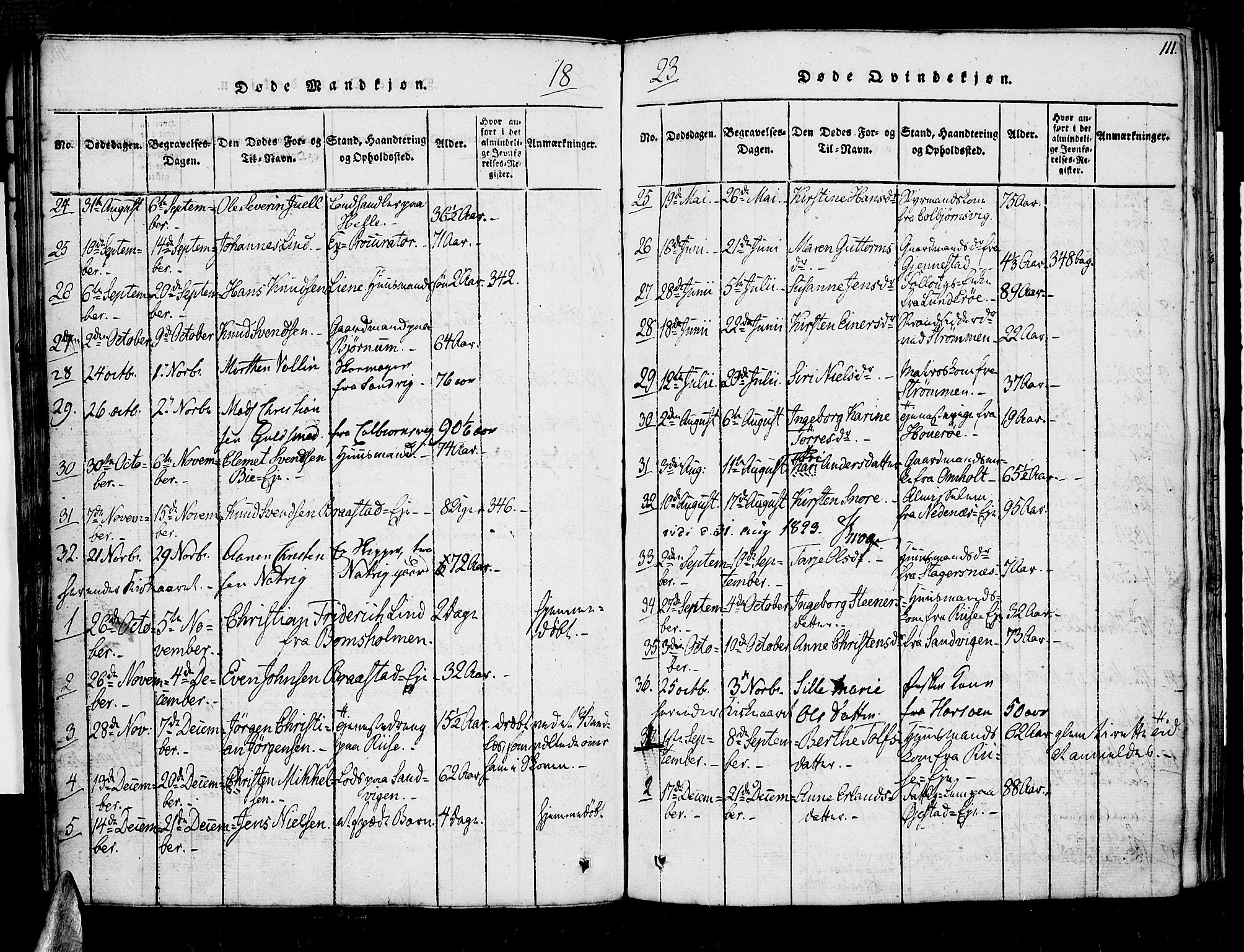 Øyestad sokneprestkontor, AV/SAK-1111-0049/F/Fa/L0012: Parish register (official) no. A 12, 1816-1827, p. 111