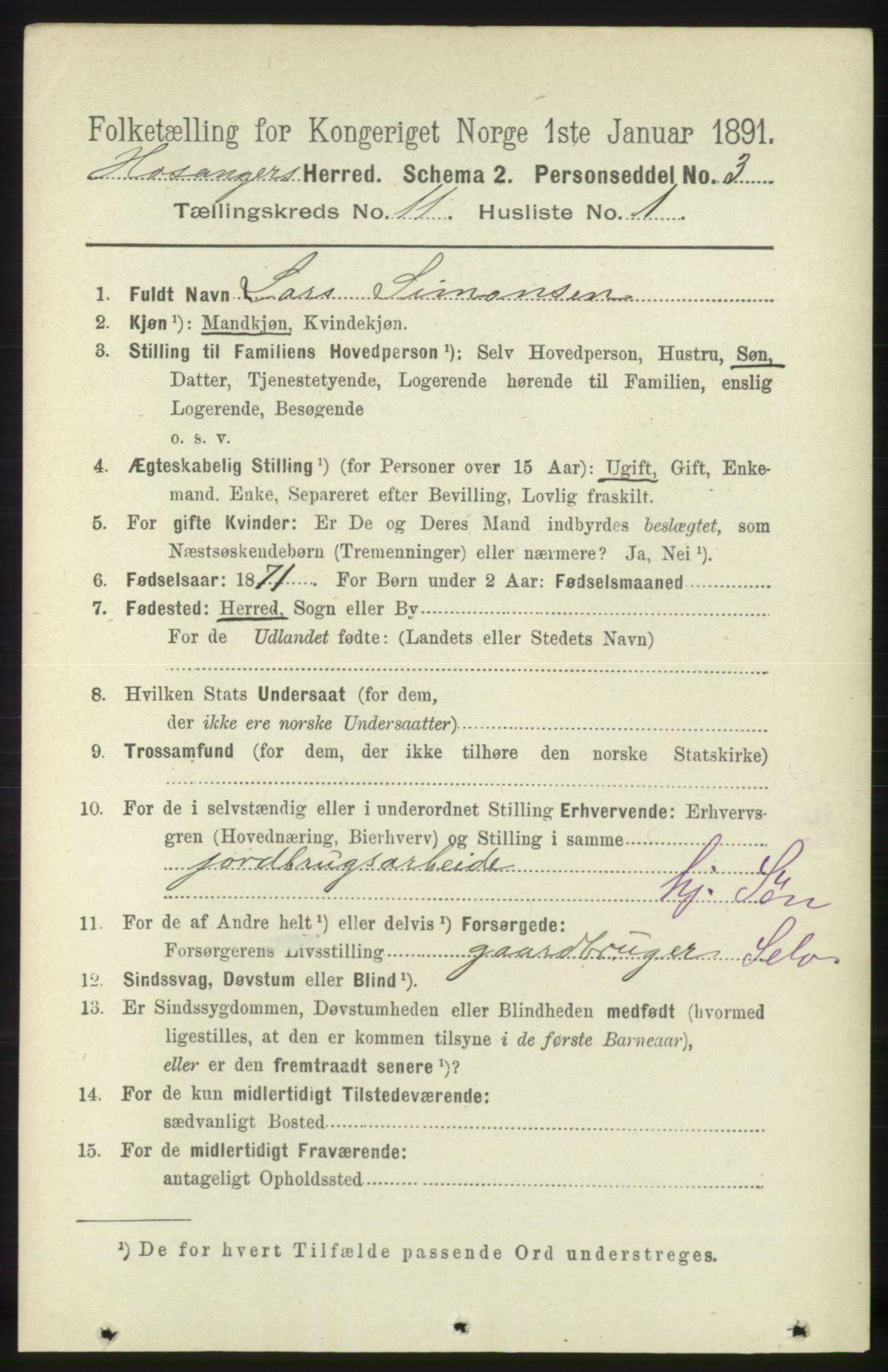 RA, 1891 census for 1253 Hosanger, 1891, p. 3694