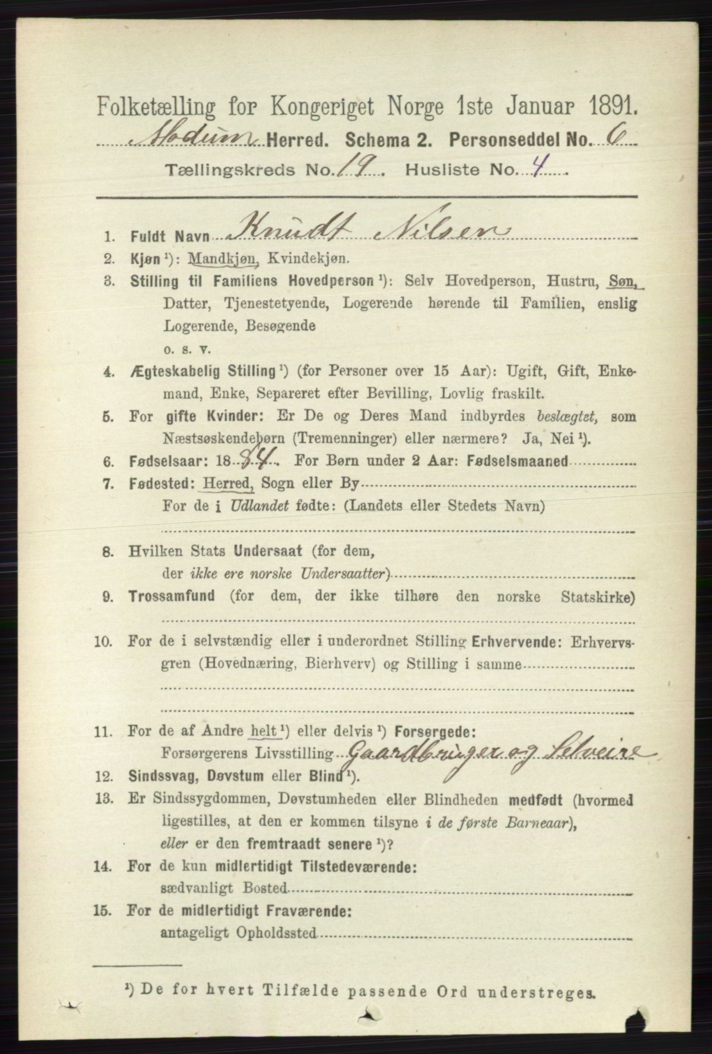 RA, 1891 census for 0623 Modum, 1891, p. 7629