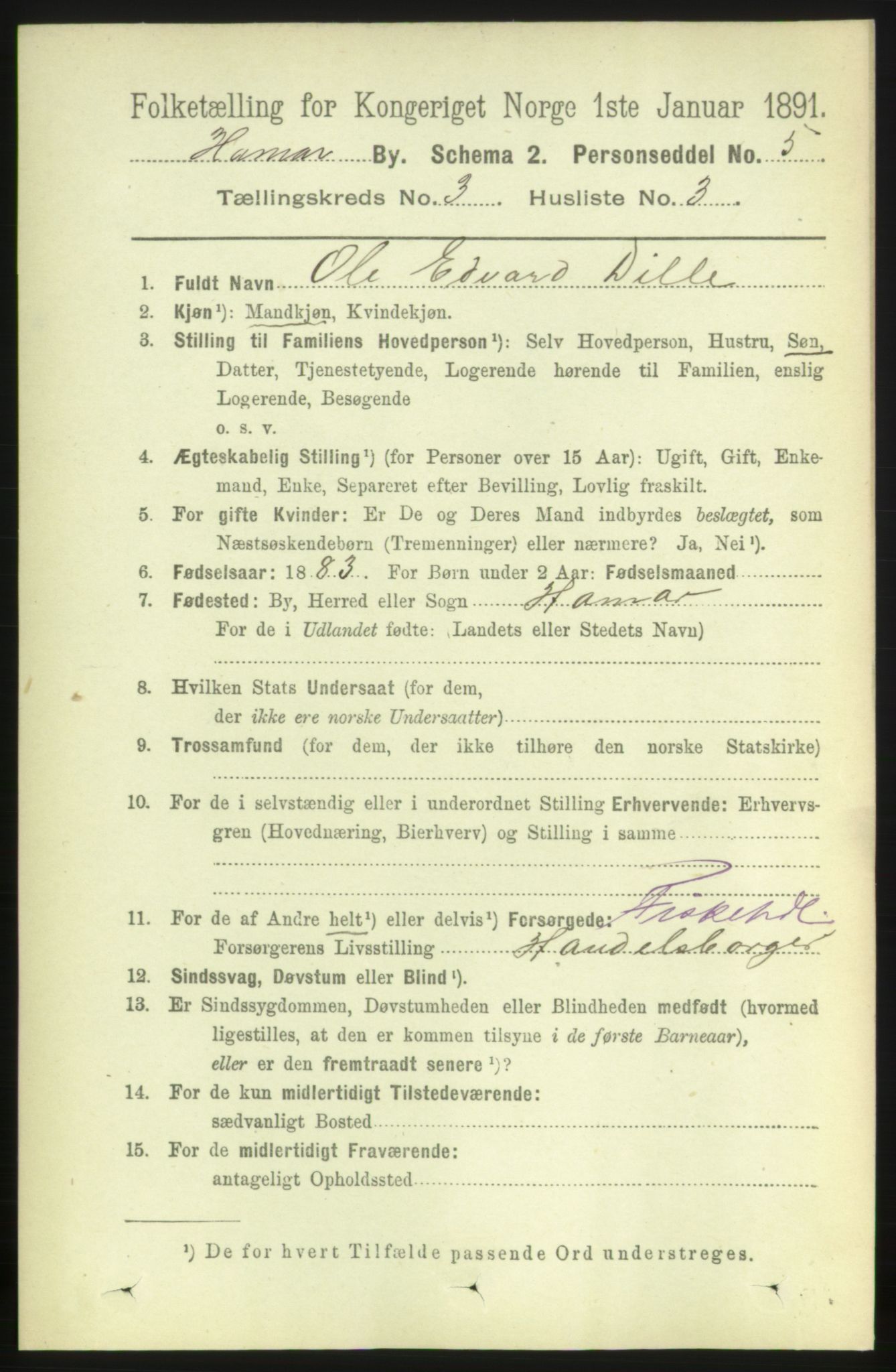 RA, 1891 census for 0401 Hamar, 1891, p. 1729