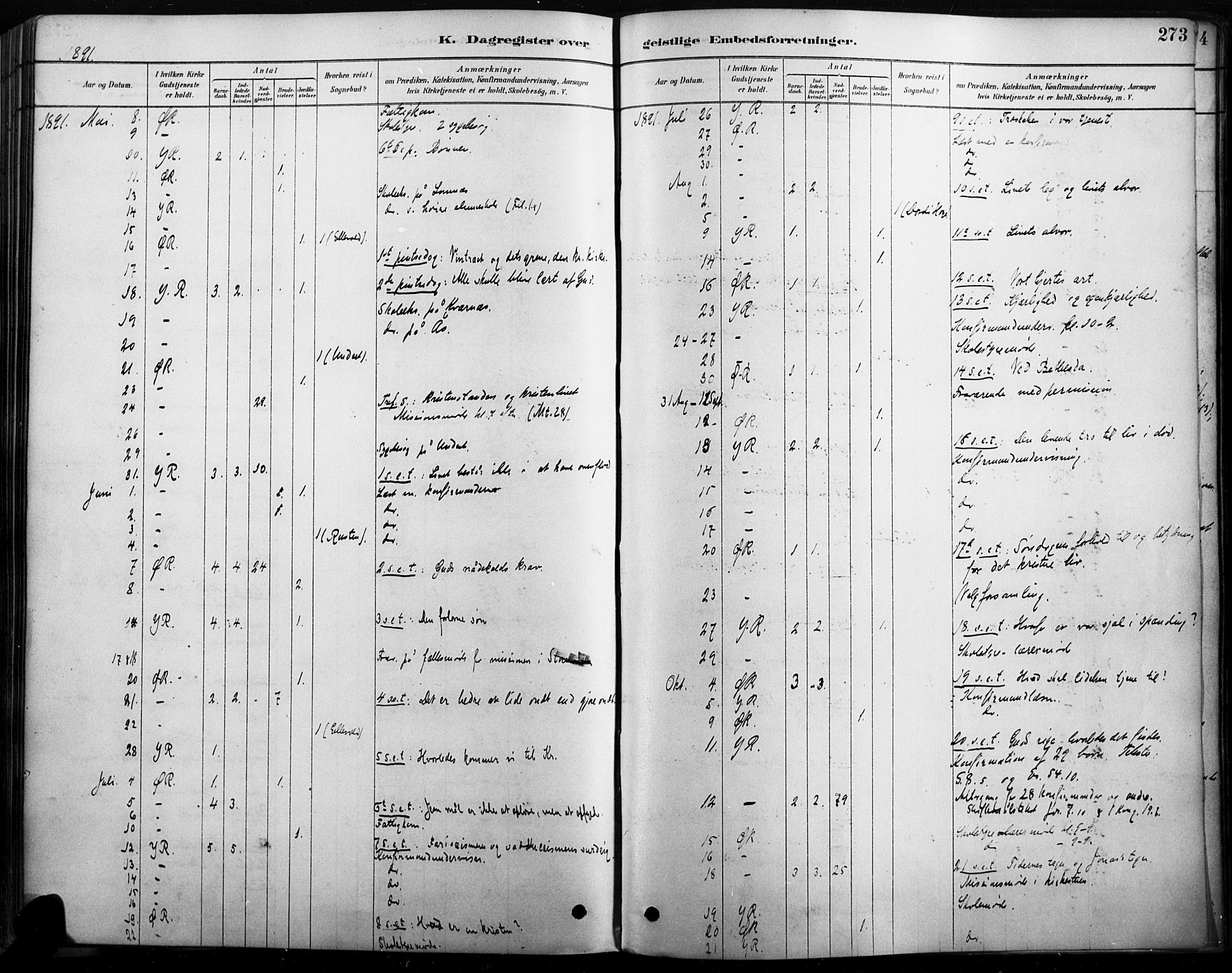 Rendalen prestekontor, AV/SAH-PREST-054/H/Ha/Haa/L0009: Parish register (official) no. 9, 1878-1901, p. 273