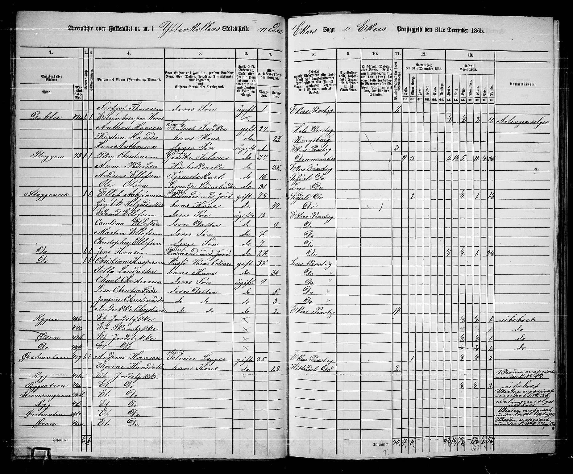 RA, 1865 census for Eiker, 1865, p. 290