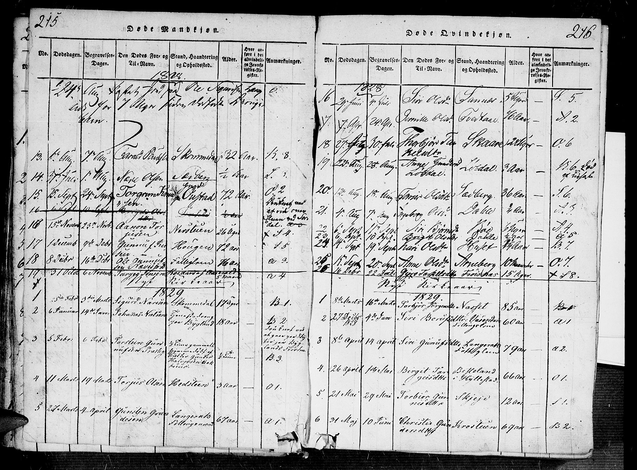 Bygland sokneprestkontor, AV/SAK-1111-0006/F/Fa/Fab/L0003: Parish register (official) no. A 3, 1816-1841, p. 215-216