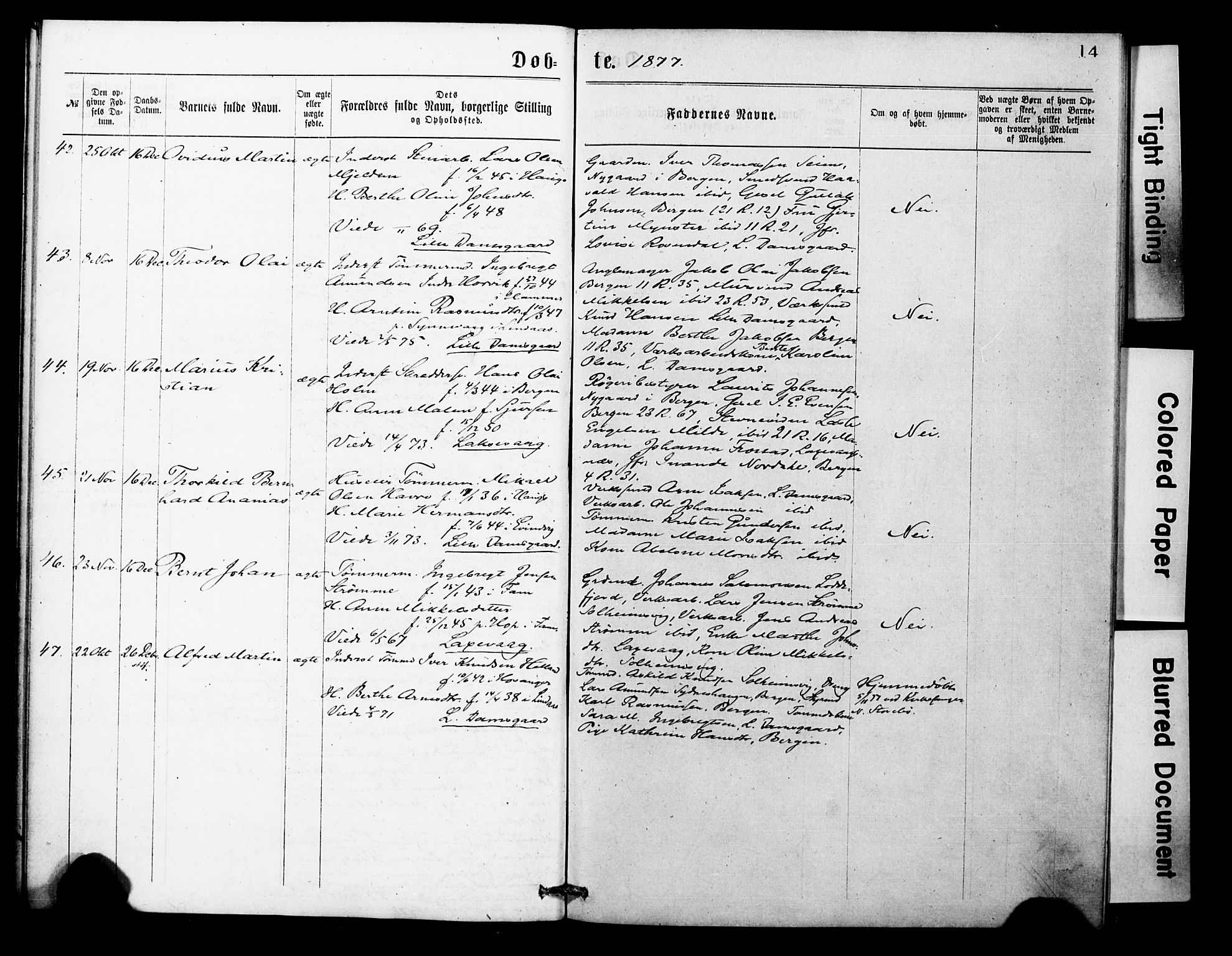 Askøy Sokneprestembete, AV/SAB-A-74101/H/Ha/Haa/Haae/L0001: Parish register (official) no. E 1, 1875-1877, p. 14