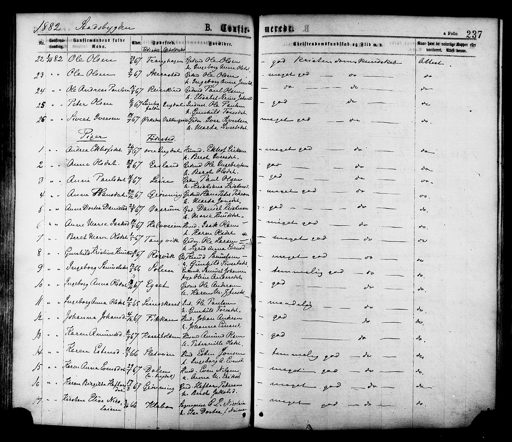 Ministerialprotokoller, klokkerbøker og fødselsregistre - Sør-Trøndelag, SAT/A-1456/646/L0613: Parish register (official) no. 646A11, 1870-1884, p. 237