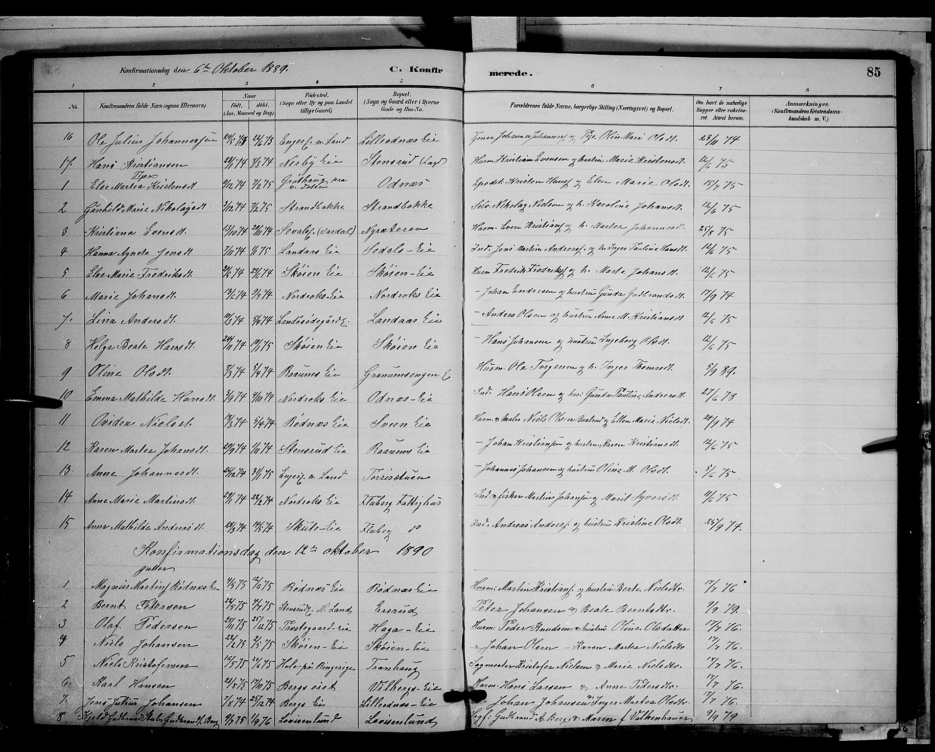 Søndre Land prestekontor, AV/SAH-PREST-122/L/L0003: Parish register (copy) no. 3, 1884-1902, p. 85
