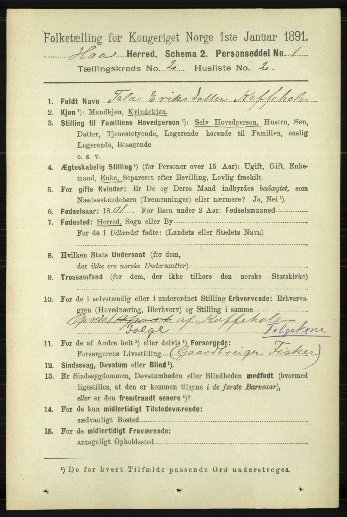 RA, 1891 census for 1119 Hå, 1891, p. 375