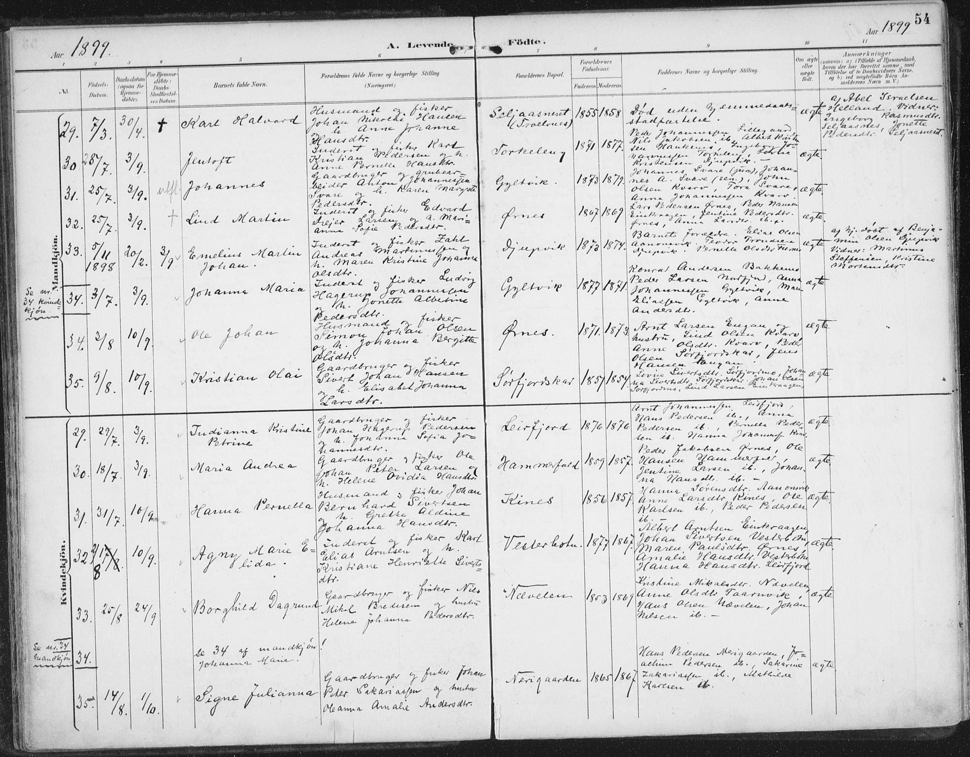 Ministerialprotokoller, klokkerbøker og fødselsregistre - Nordland, SAT/A-1459/854/L0779: Parish register (official) no. 854A02, 1892-1909, p. 54