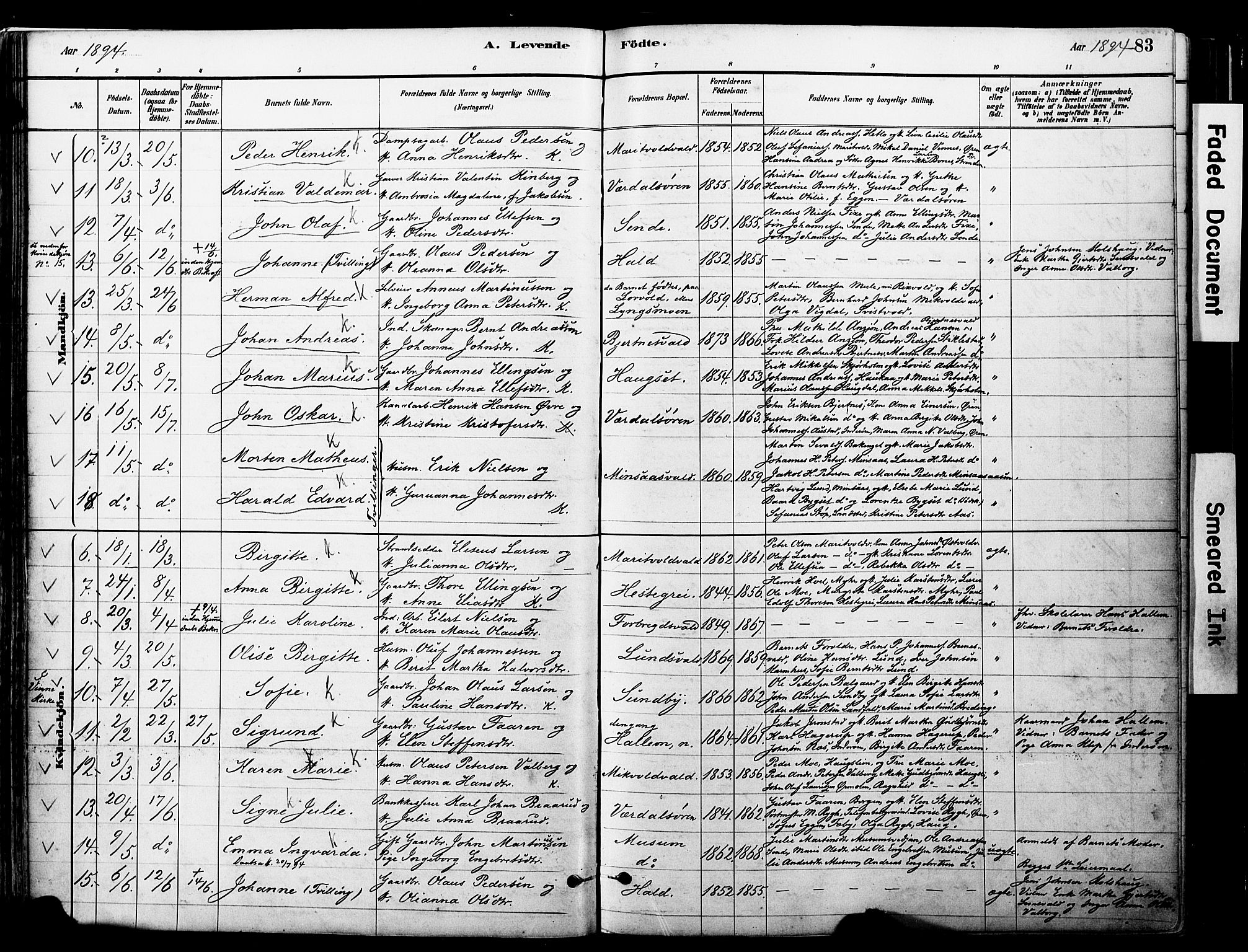 Ministerialprotokoller, klokkerbøker og fødselsregistre - Nord-Trøndelag, SAT/A-1458/723/L0244: Parish register (official) no. 723A13, 1881-1899, p. 83