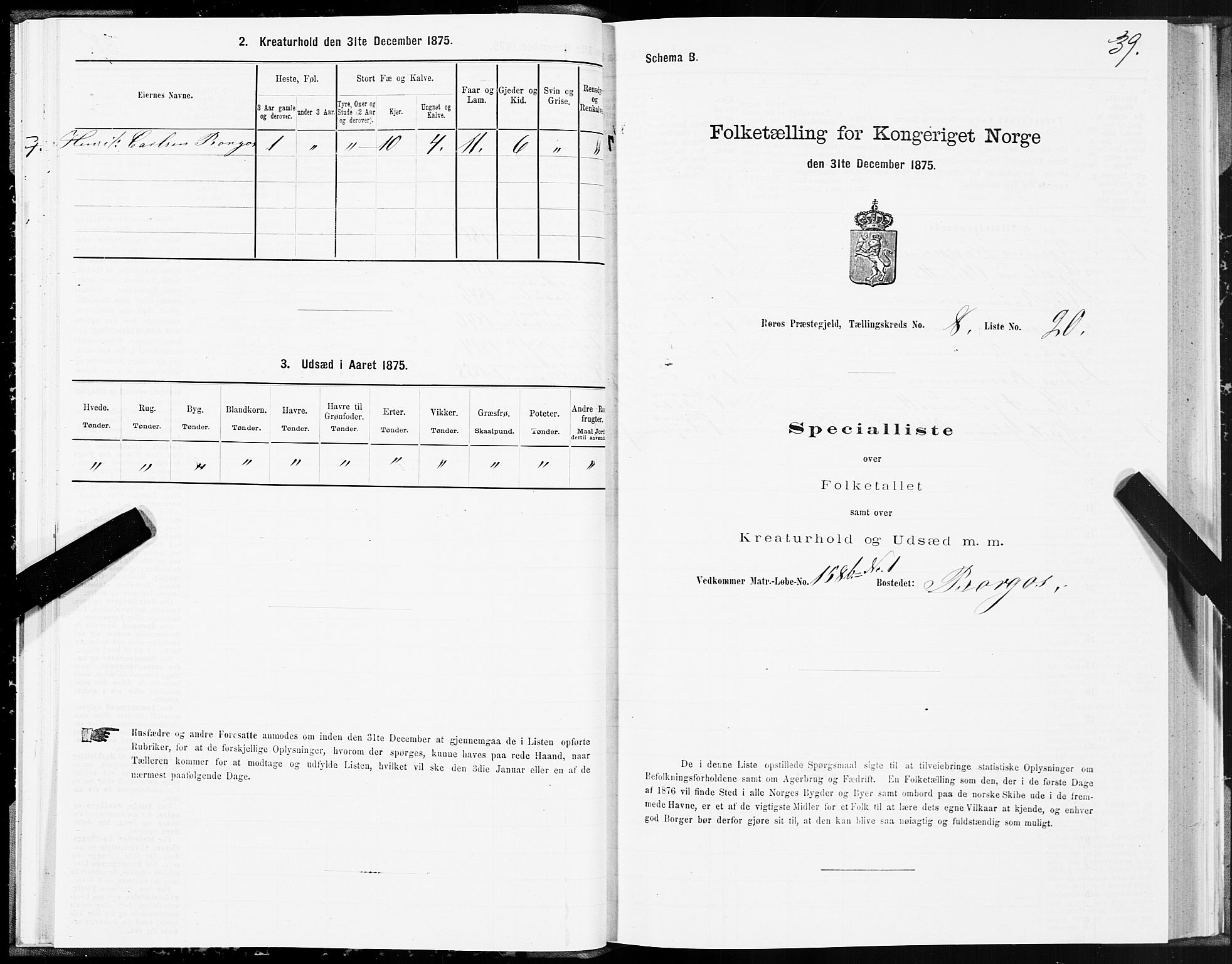 SAT, 1875 census for 1640P Røros, 1875, p. 5039