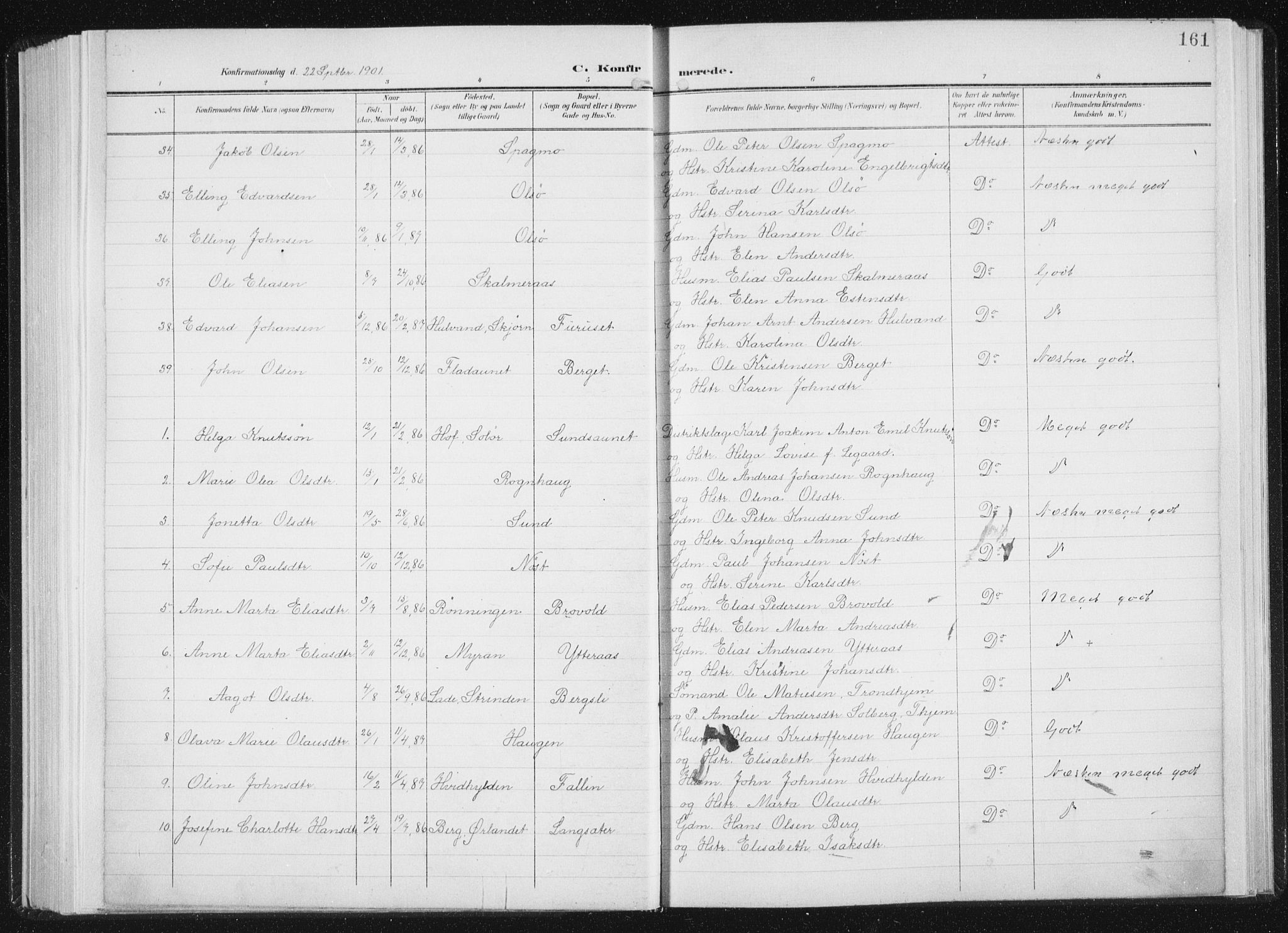 Ministerialprotokoller, klokkerbøker og fødselsregistre - Sør-Trøndelag, AV/SAT-A-1456/647/L0635: Parish register (official) no. 647A02, 1896-1911, p. 161