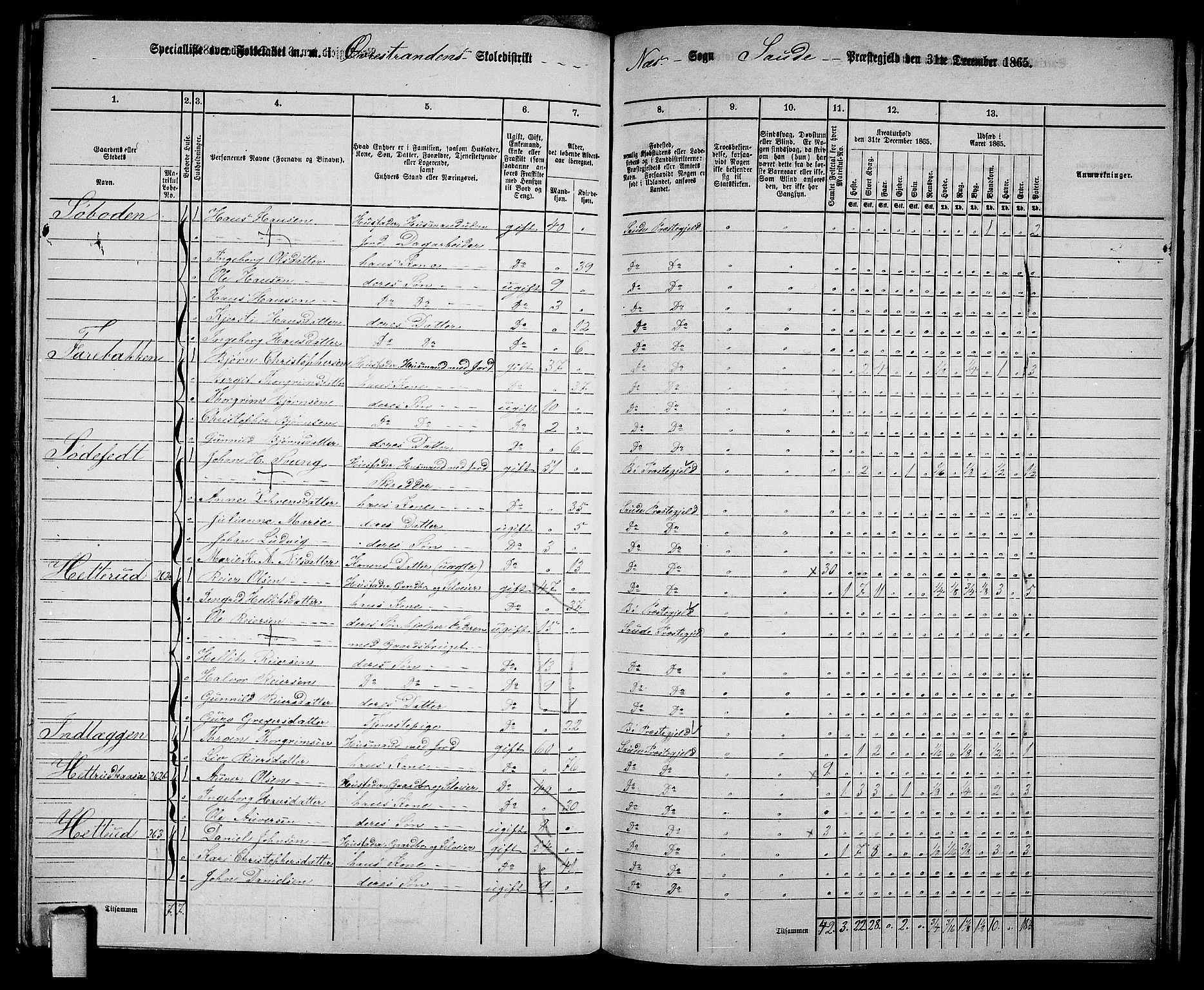 RA, 1865 census for Sauherad, 1865, p. 157