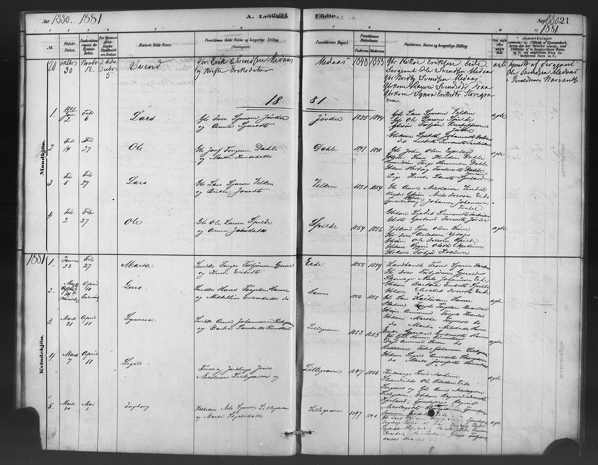 Ulvik sokneprestembete, SAB/A-78801/H/Haa: Parish register (official) no. C 1, 1878-1903, p. 21
