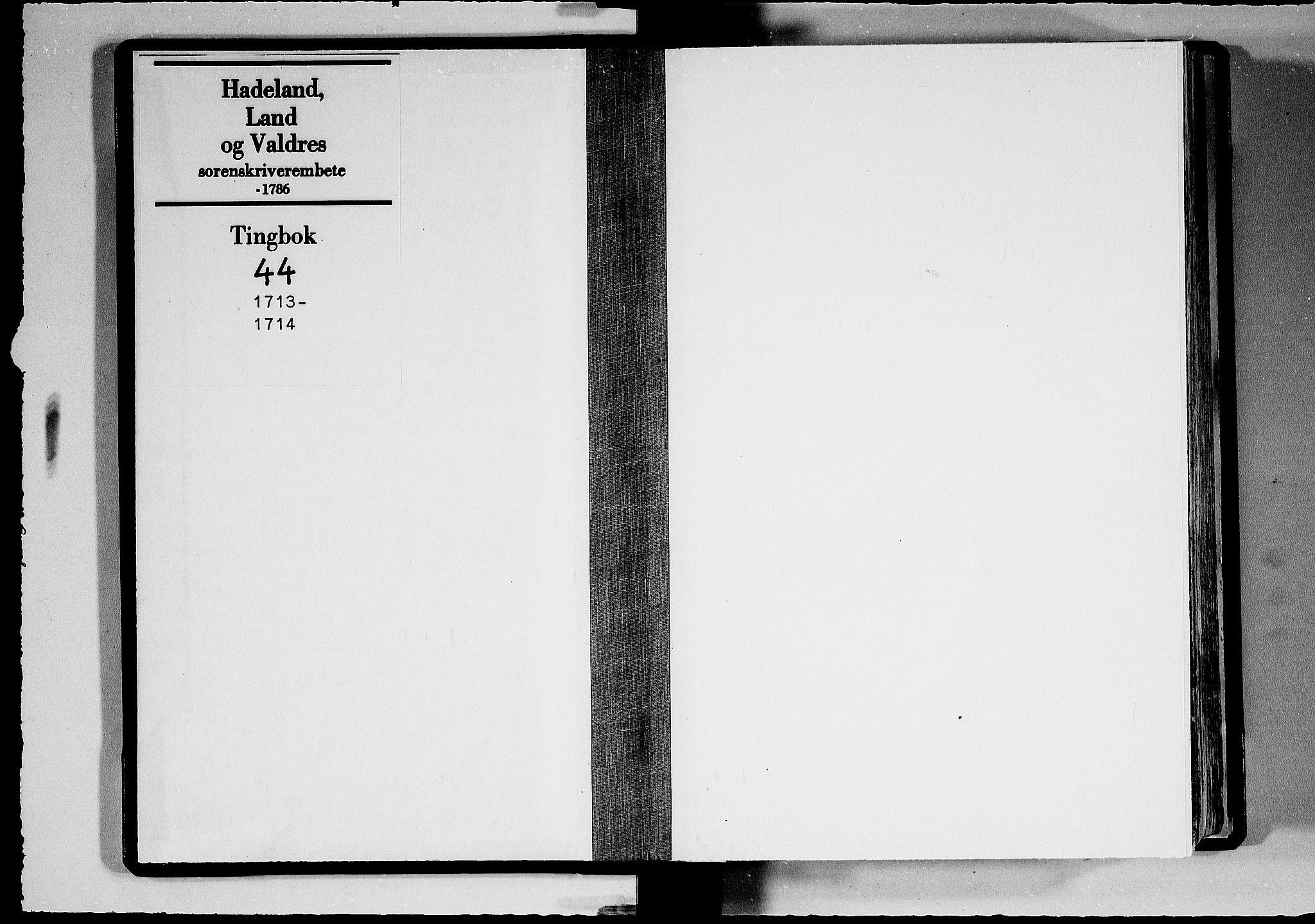 Hadeland, Land og Valdres sorenskriveri, AV/SAH-TING-028/G/Gb/L0044: Tingbok, 1713-1714