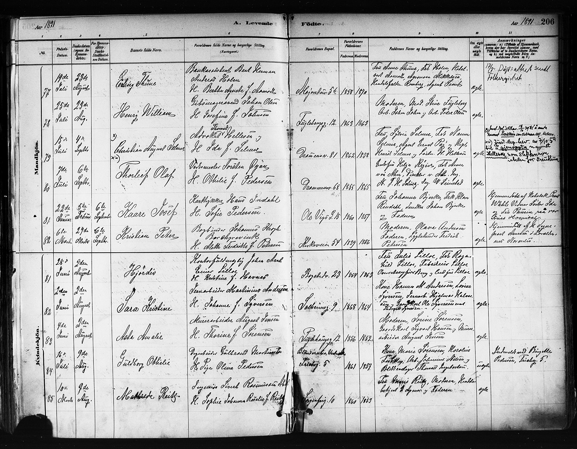 Uranienborg prestekontor Kirkebøker, SAO/A-10877/F/Fa/L0001: Parish register (official) no. 1, 1880-1895, p. 206