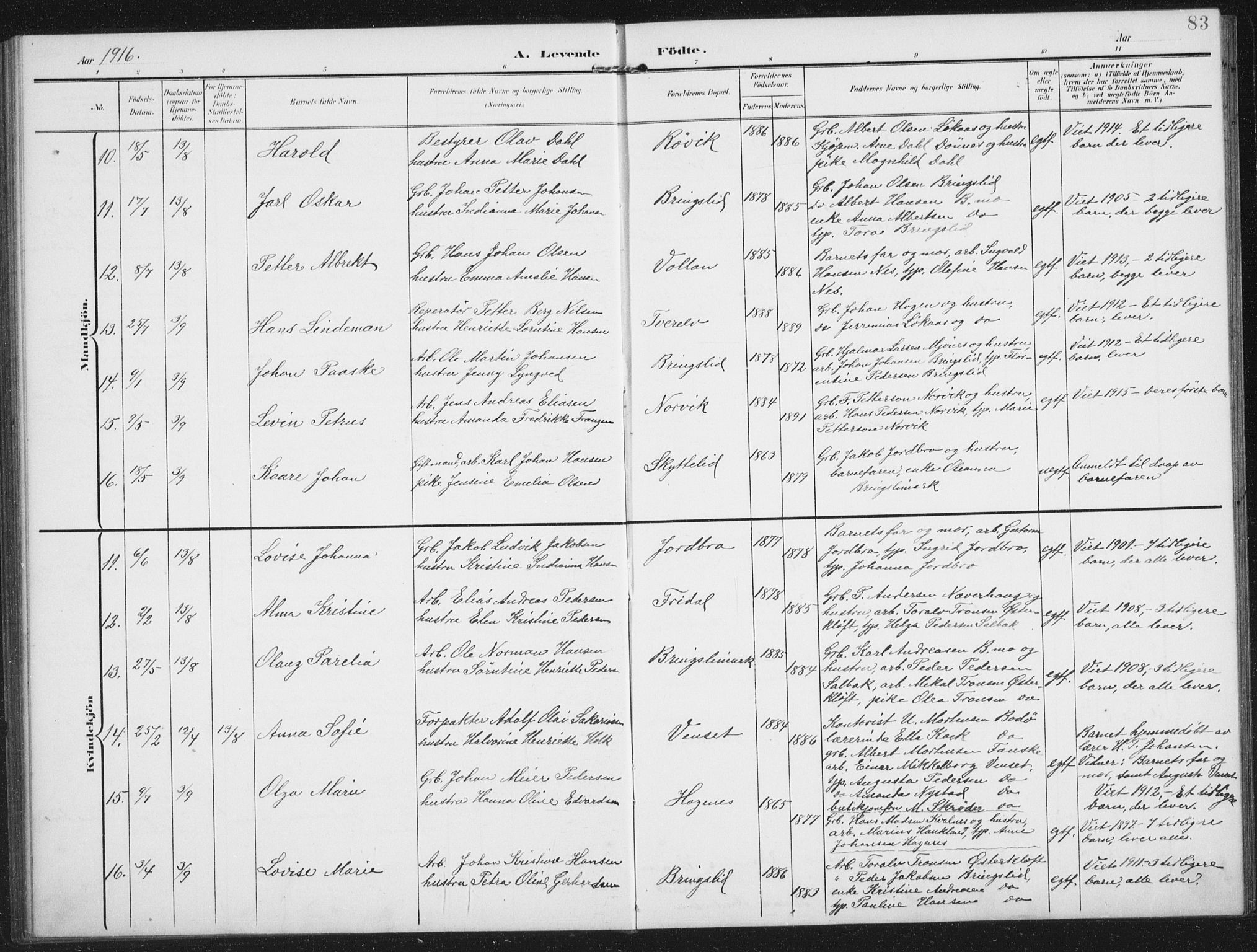 Ministerialprotokoller, klokkerbøker og fødselsregistre - Nordland, AV/SAT-A-1459/851/L0726: Parish register (copy) no. 851C01, 1902-1924, p. 83