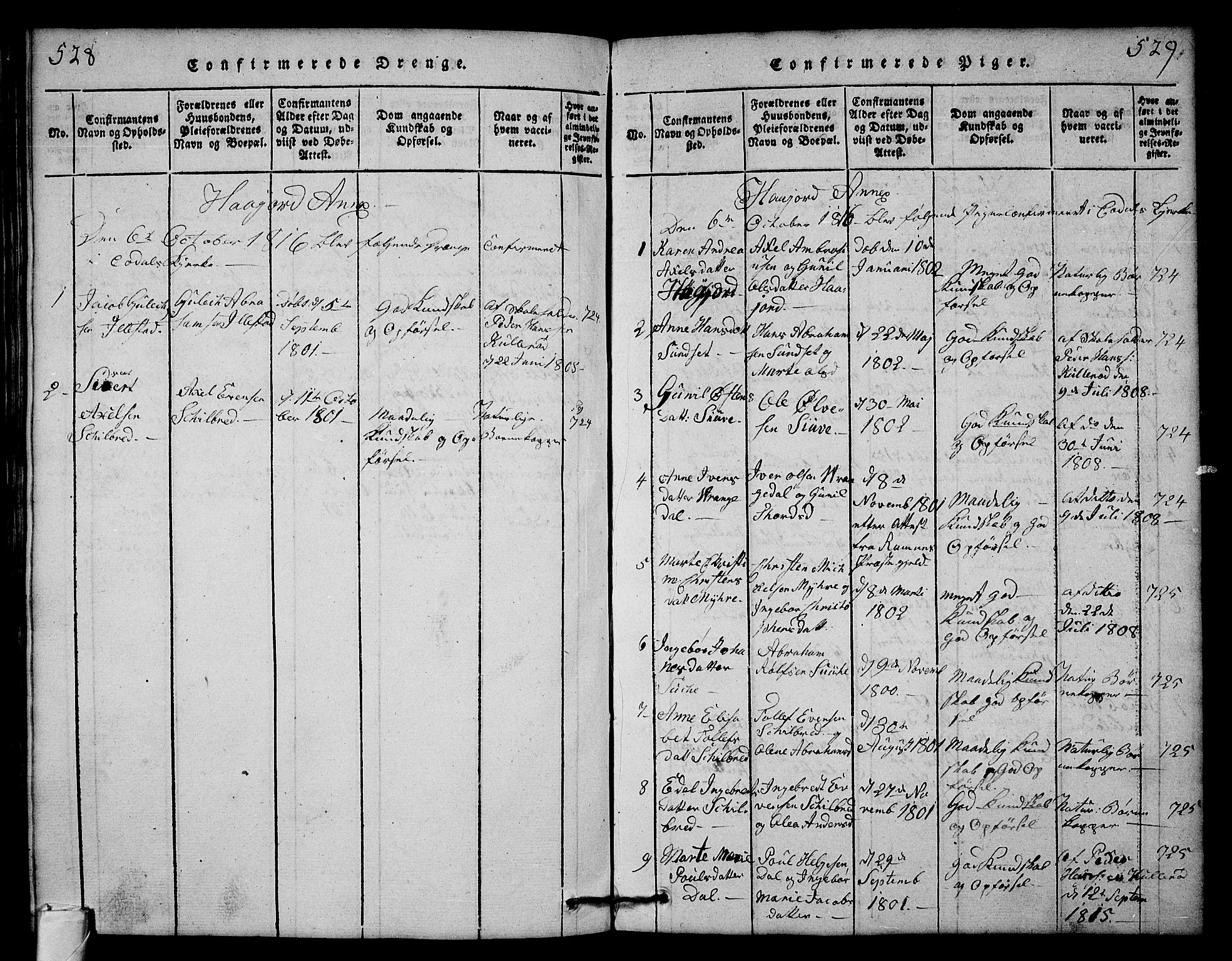 Andebu kirkebøker, AV/SAKO-A-336/G/Ga/L0001: Parish register (copy) no. I 1 /2, 1815-1823, p. 528-529