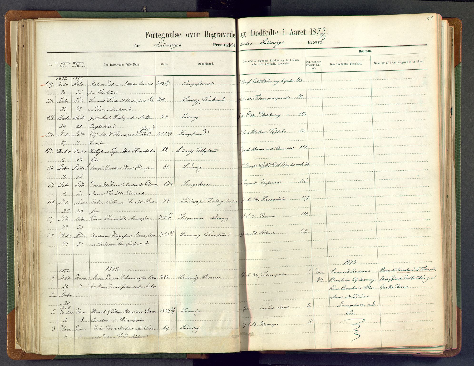 Larvik kirkebøker, AV/SAKO-A-352/F/Fa/L0007: Parish register (official) no. I 7, 1871-1883, p. 115