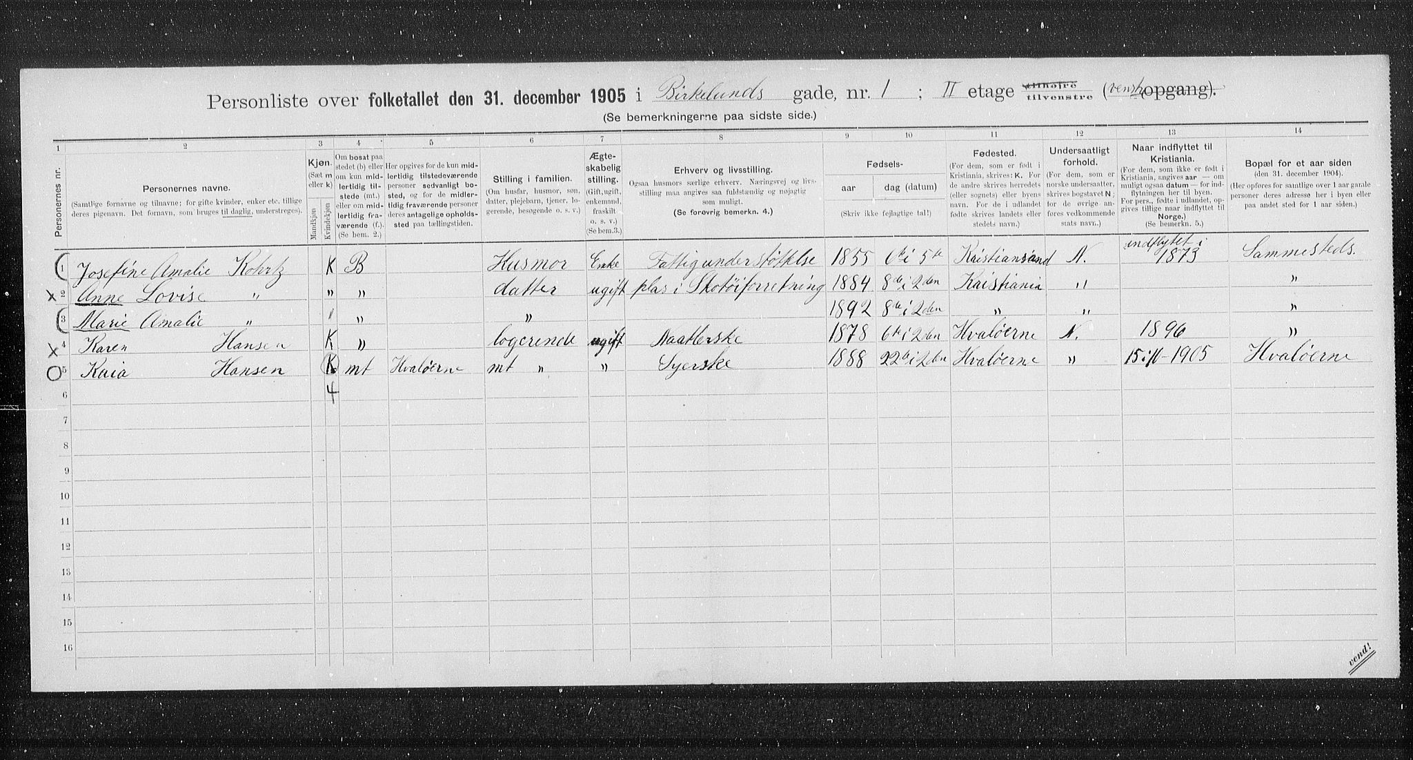 OBA, Municipal Census 1905 for Kristiania, 1905, p. 2437